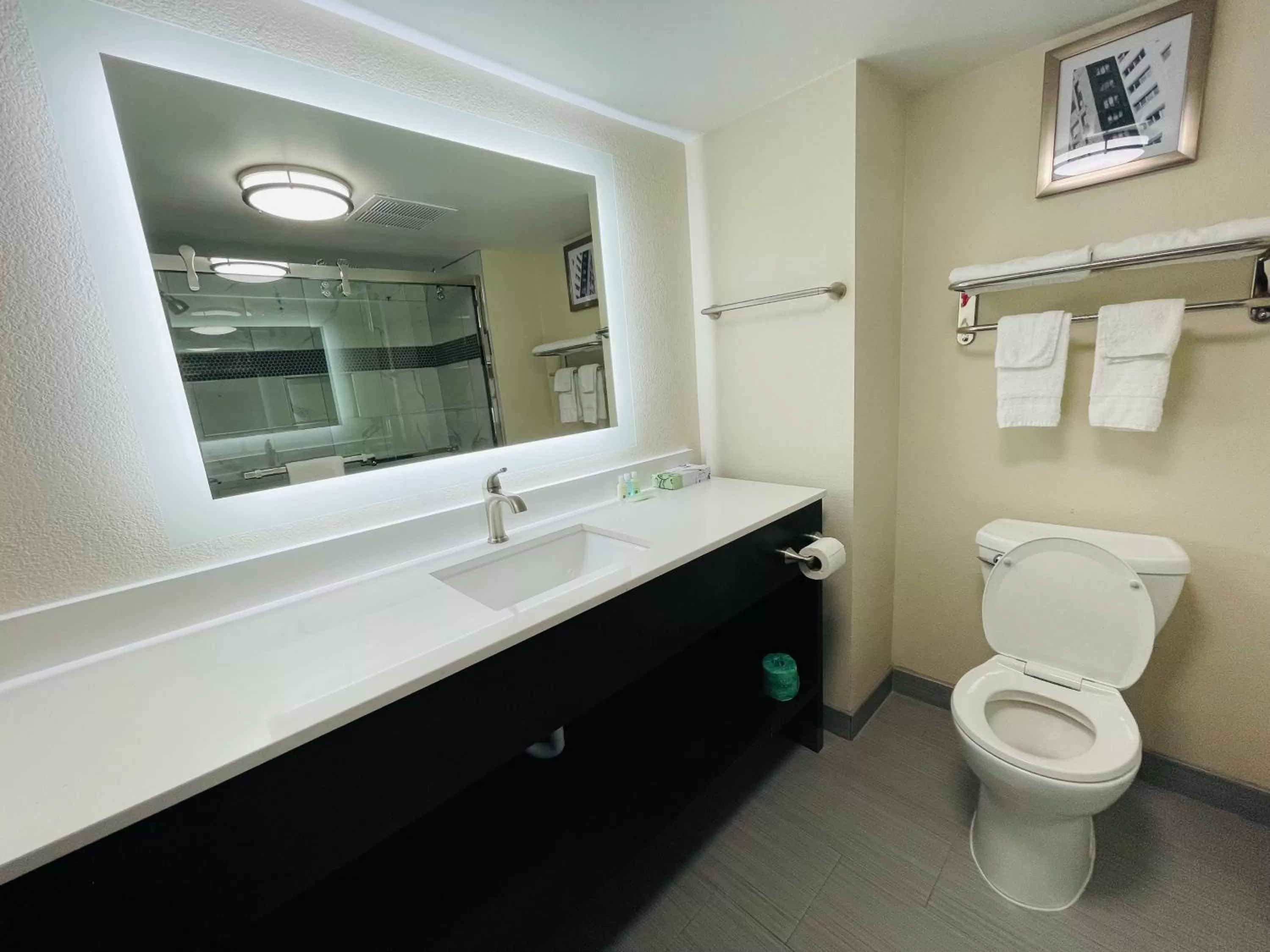 Bathroom in Quality Inn & Suites Lake Charles South