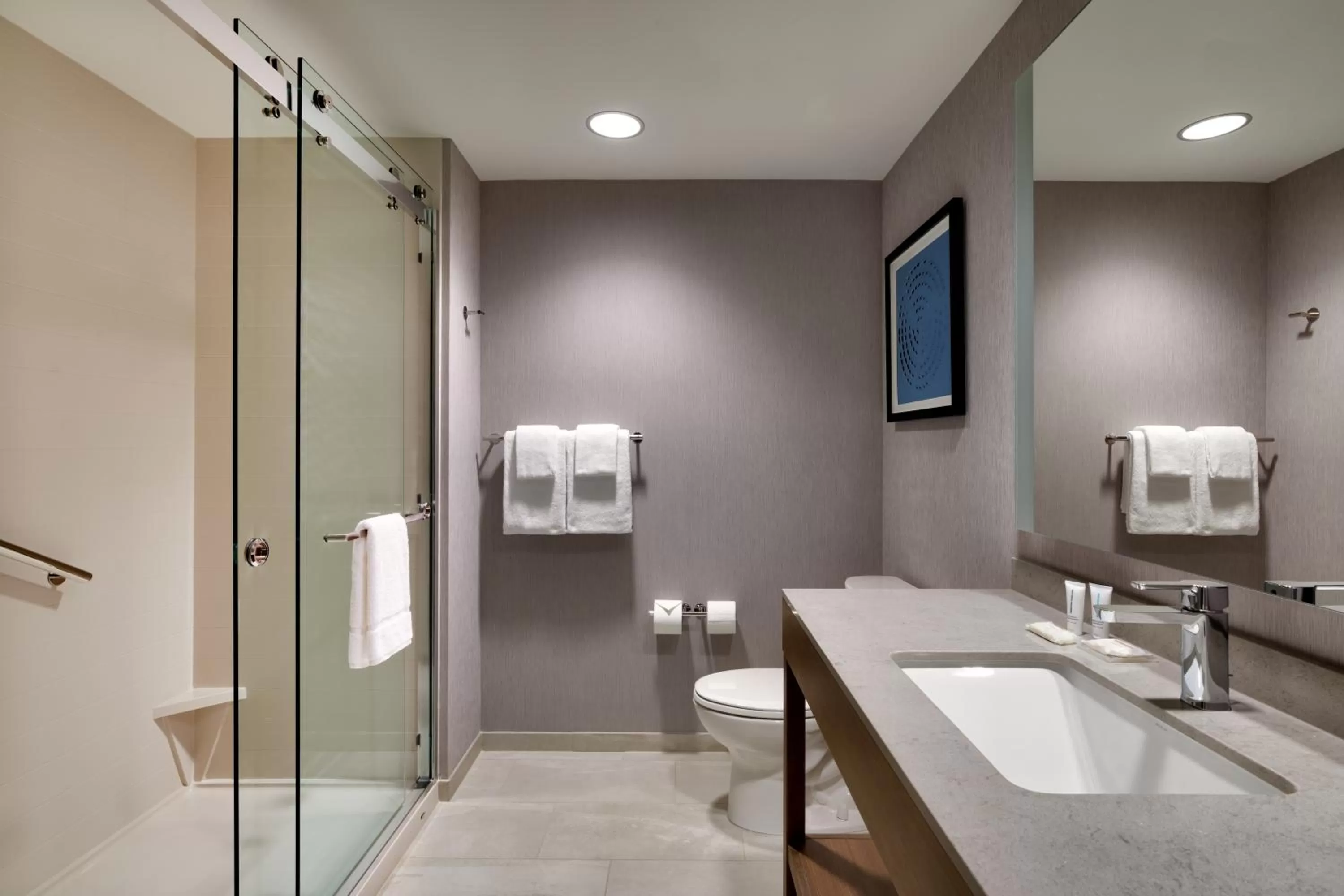 Bathroom in Hyatt Place Fayetteville/Springdale