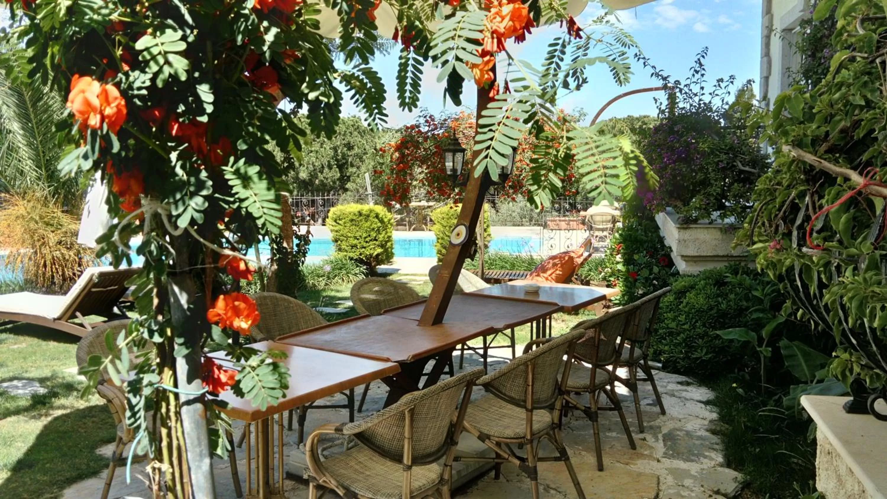 Other, Pool View in Dolina Hotel