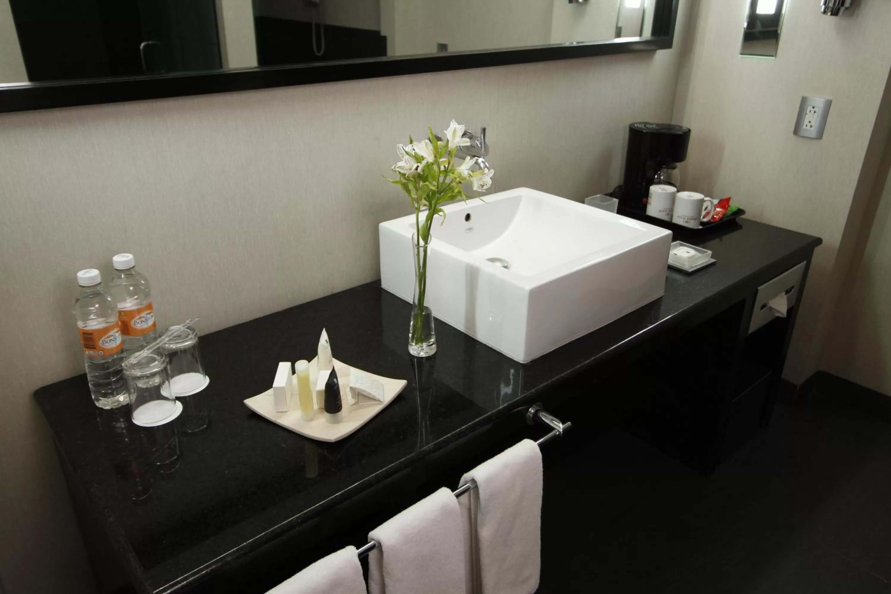 Bathroom in Crowne Plaza Toluca - Lancaster by IHG