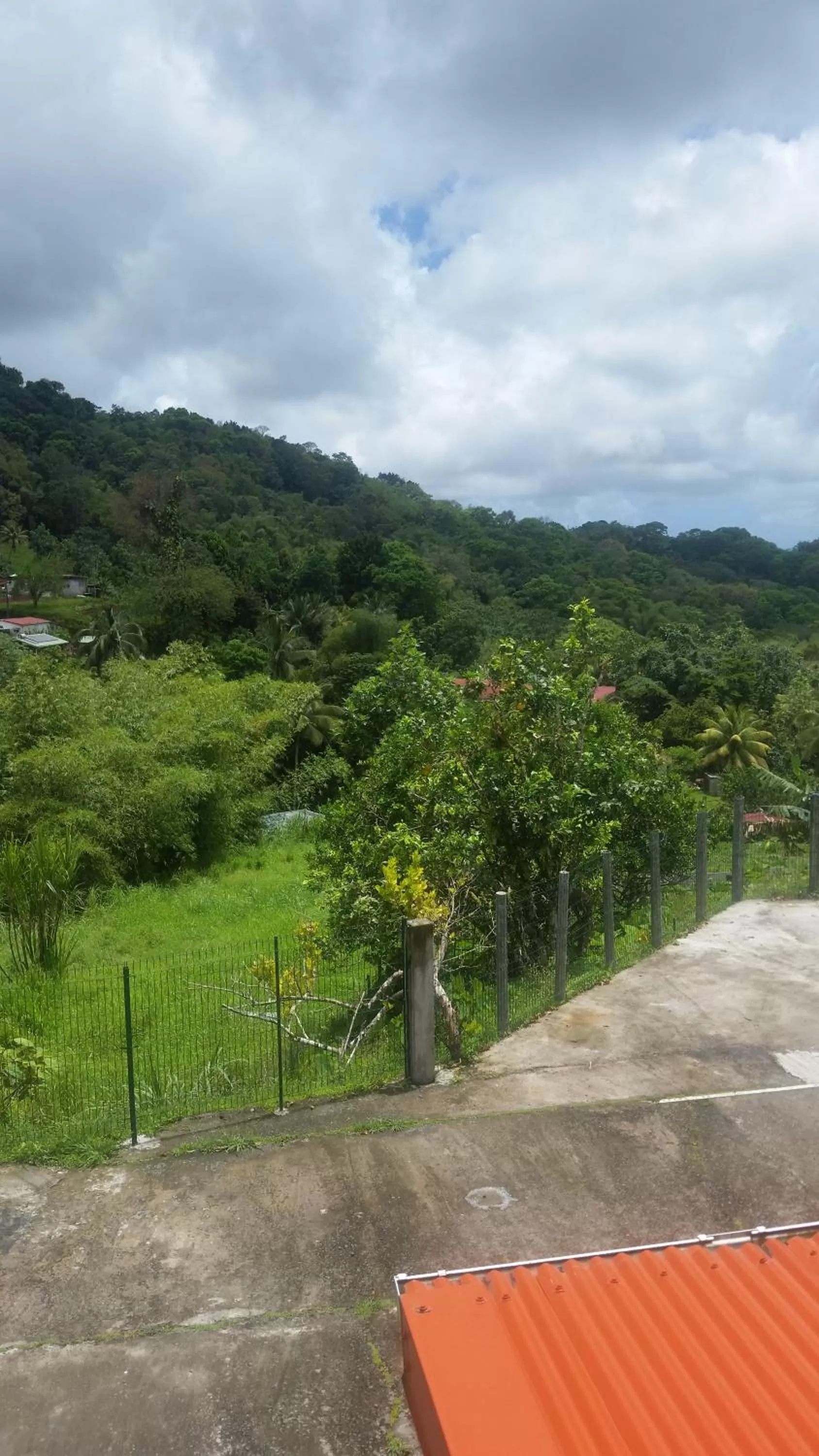 View (from property/room) in L'Oliveraie