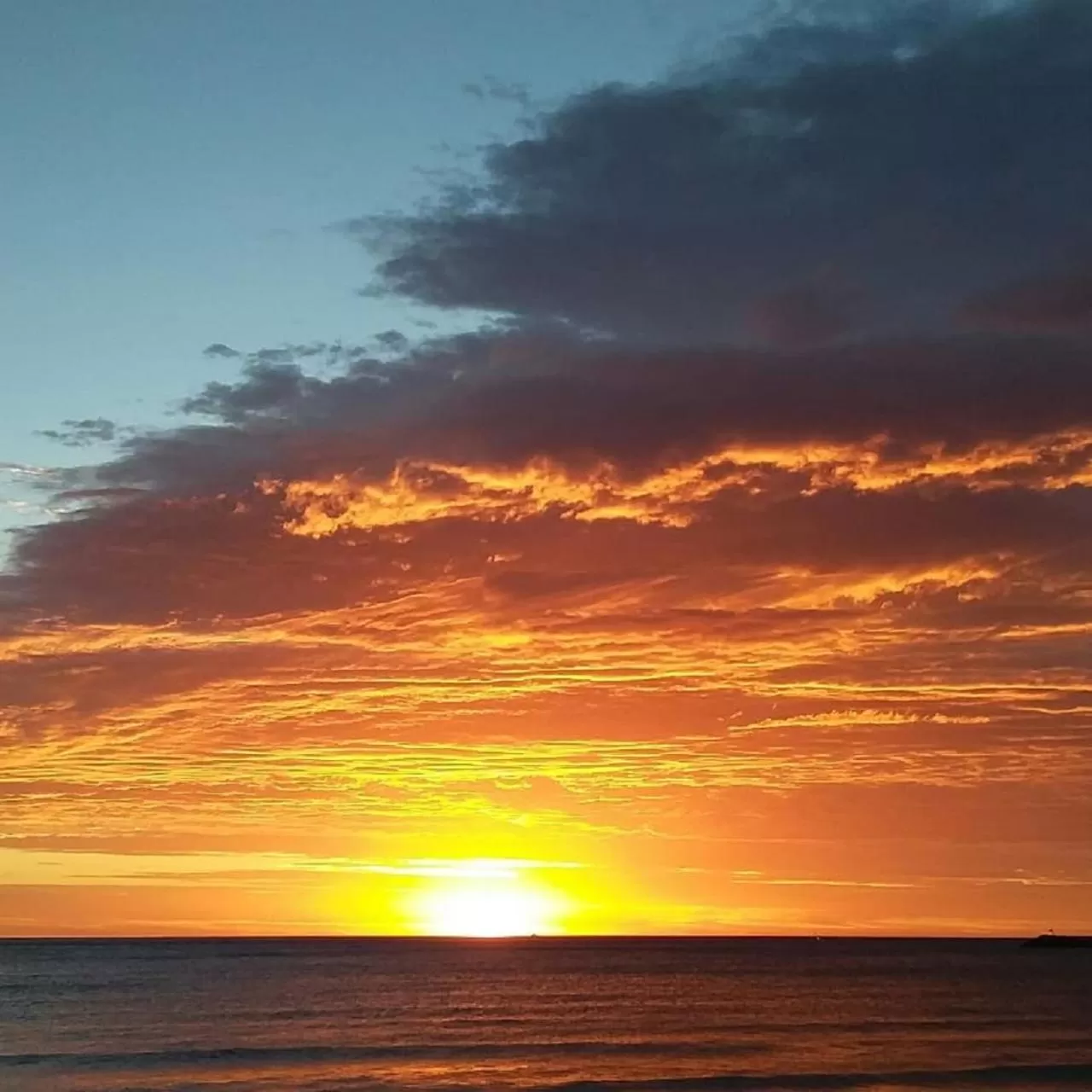 Beach in The Dolphin Apartments