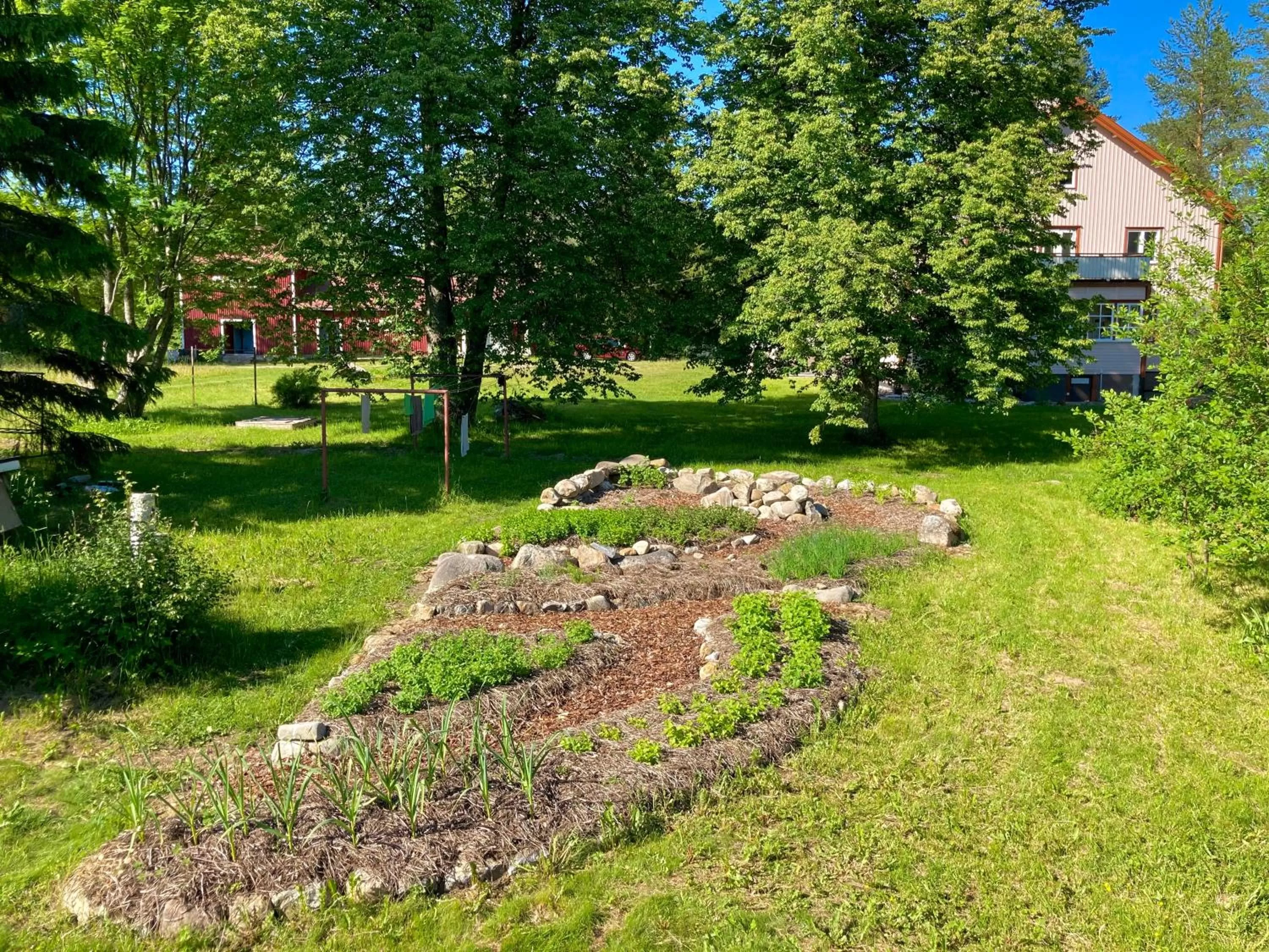 Garden in Olo Center by Kolovesi National Park