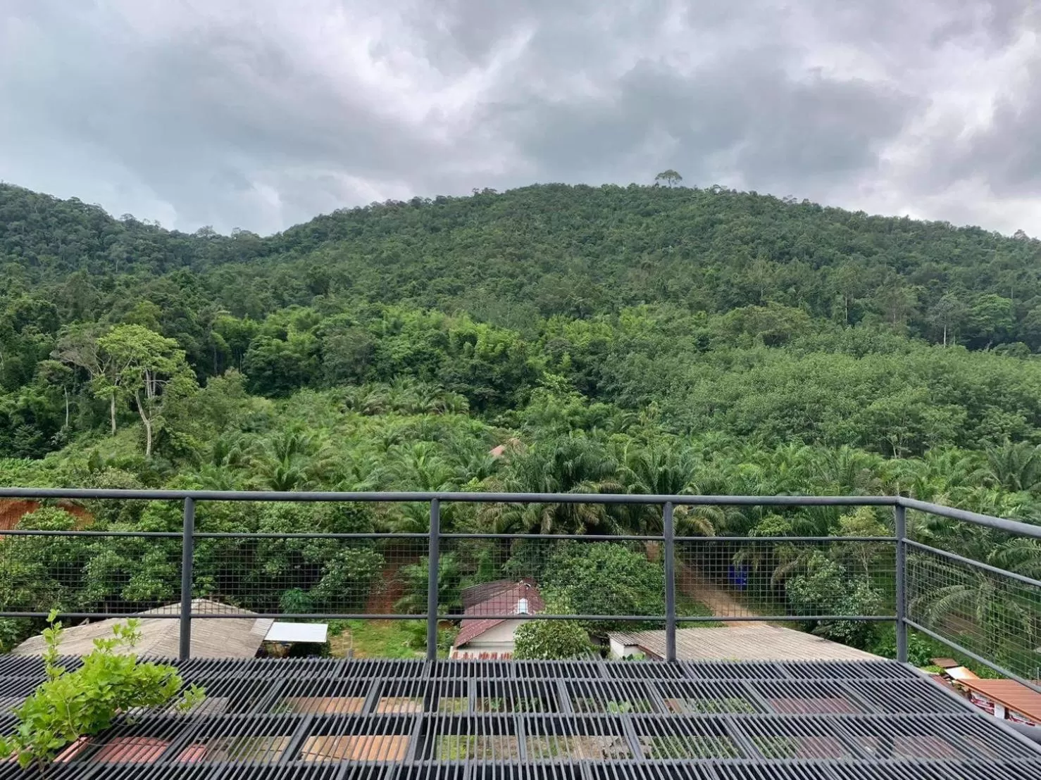 Natural landscape in Khao Sok Tree House Resort
