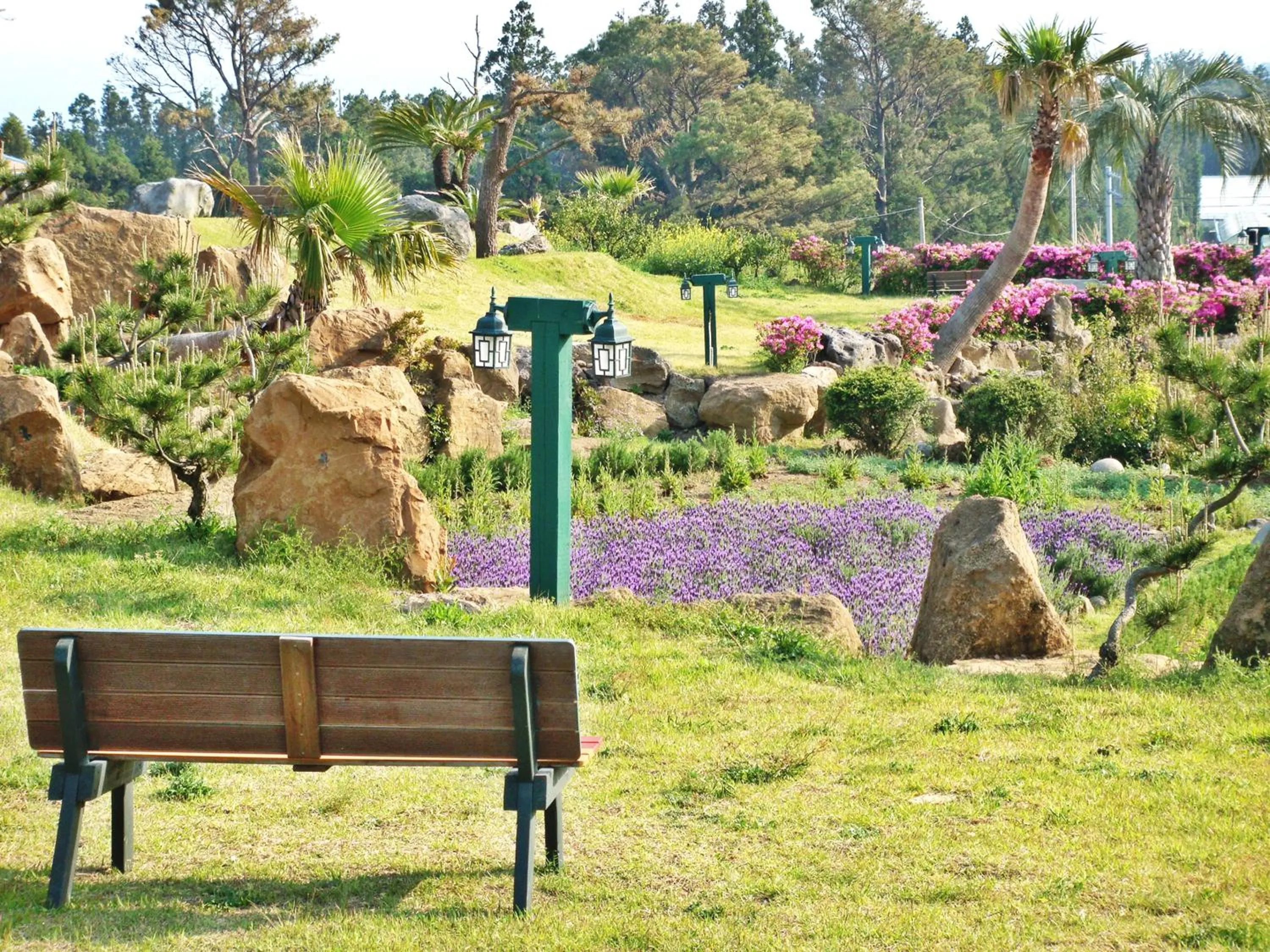 View (from property/room) in Jungmun Log Pension & Resort