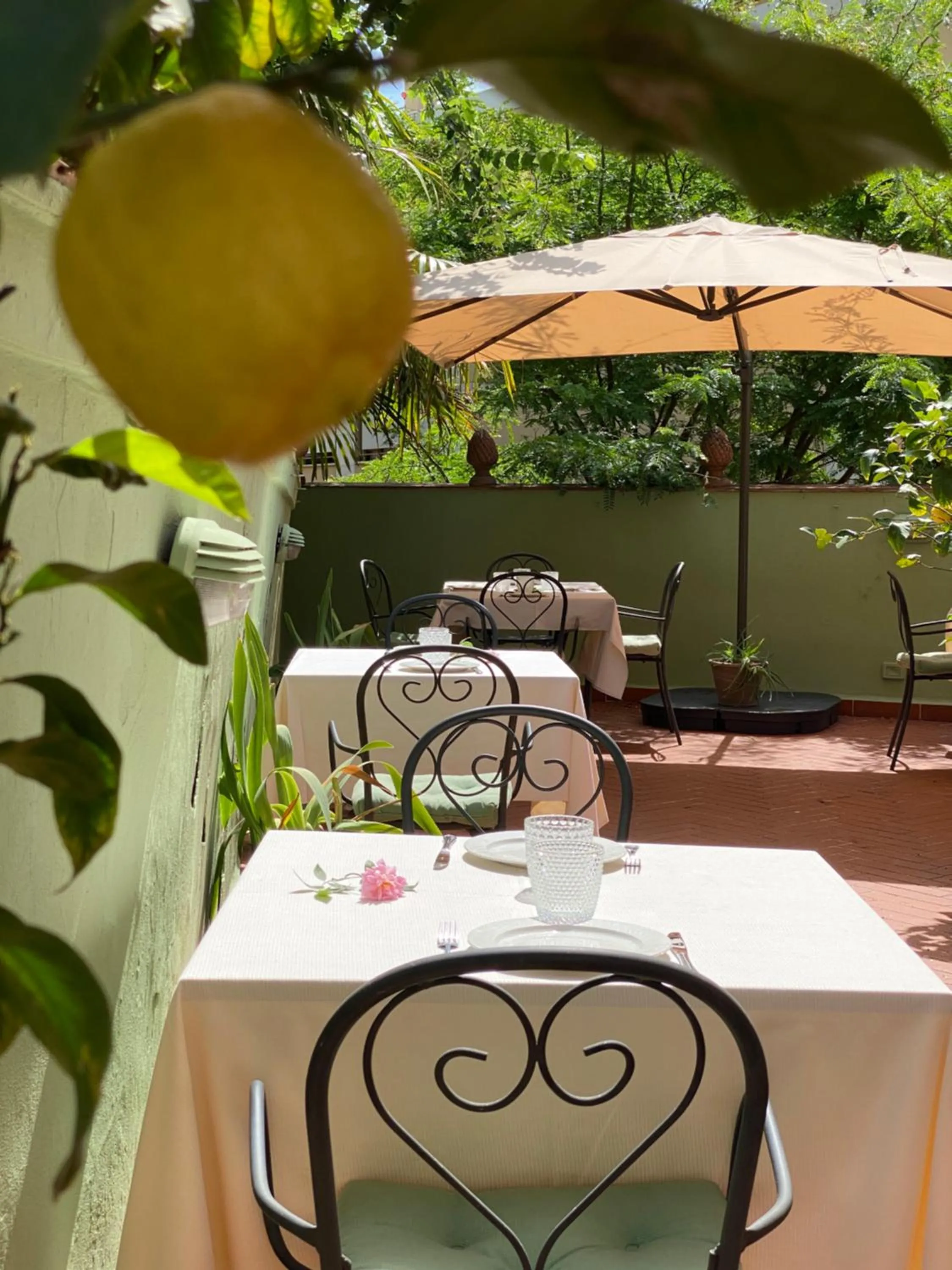 Breakfast in Hotel David