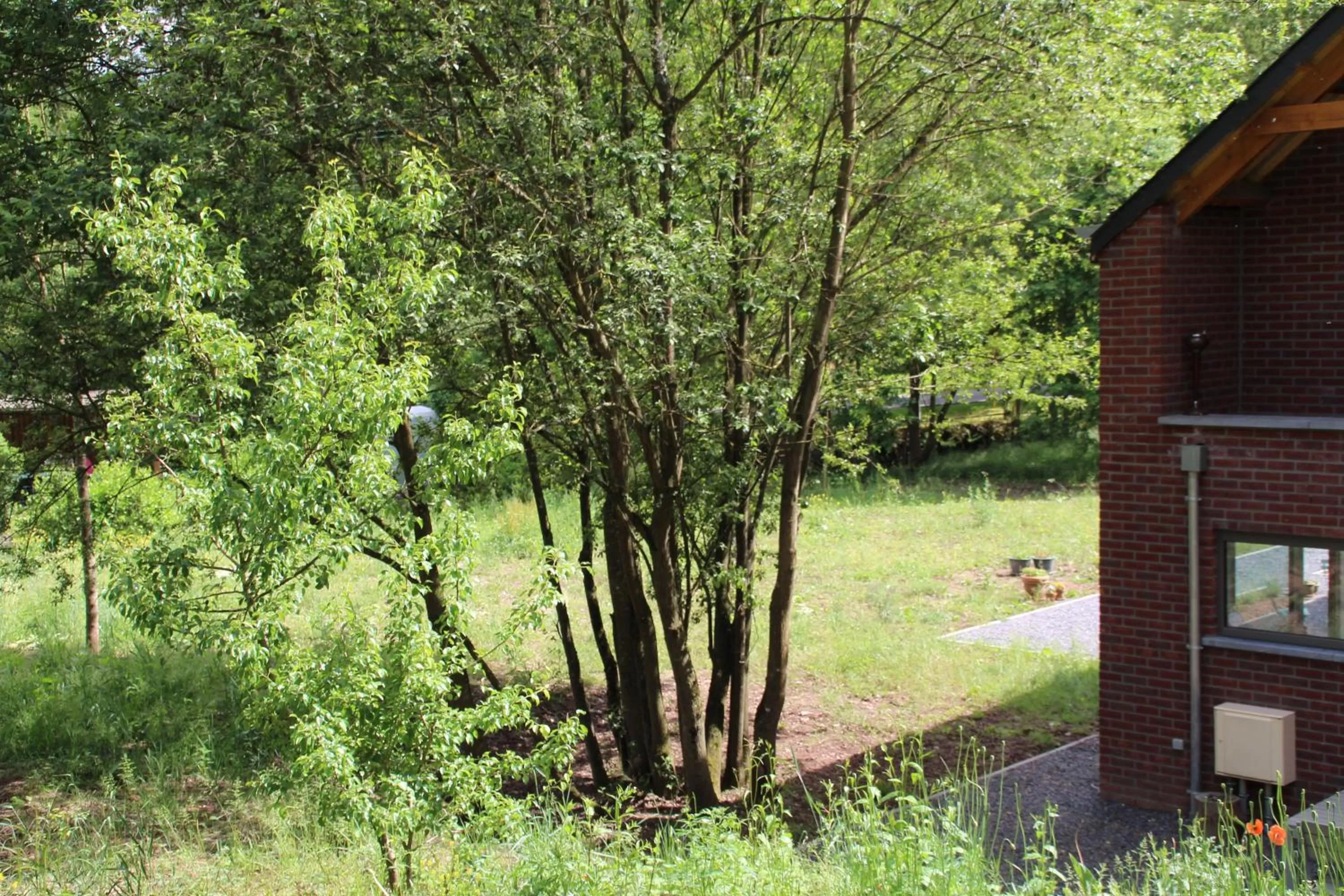 Day in B&B Les Lits de Nohaipré