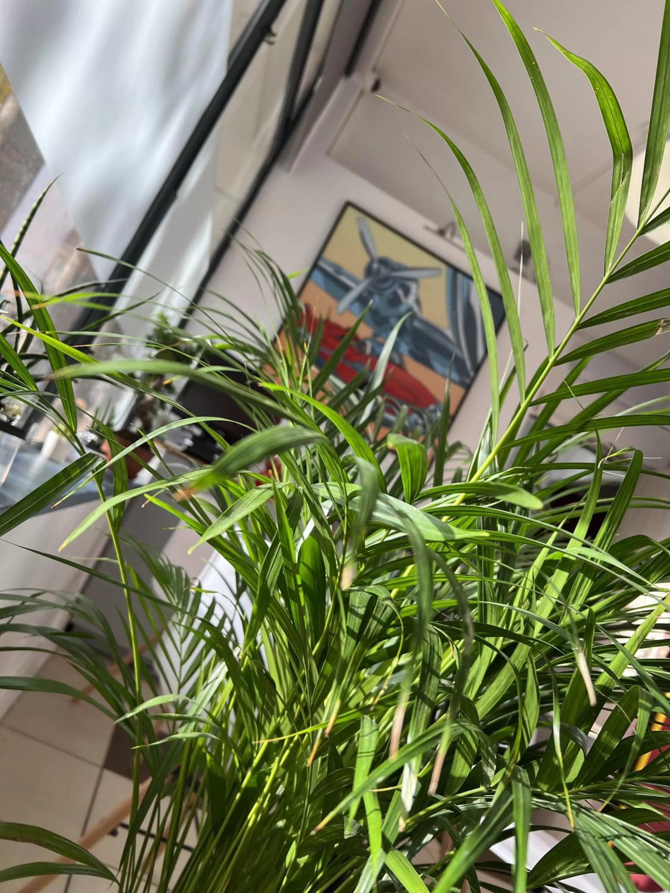 Breakfast in Vieille tour Hotel centre Rouen