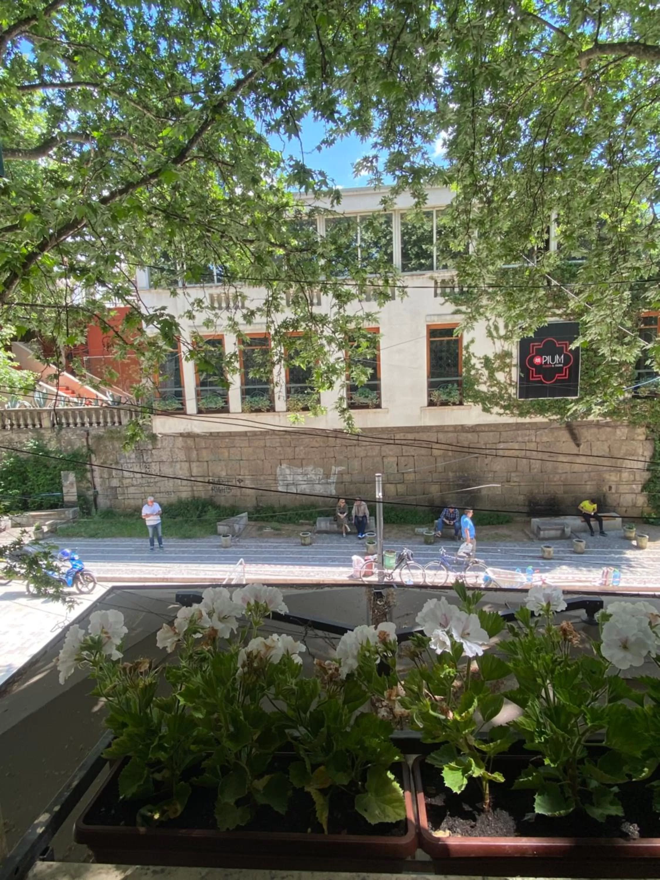 Property building, Pool View in Hotel Millenium Tirana