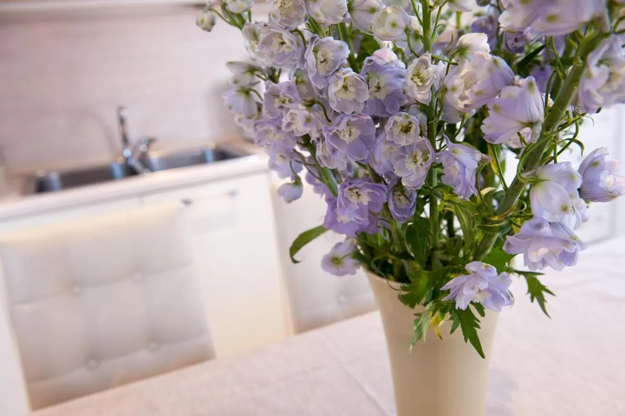 Kitchen or kitchenette in Ca' Cappellis