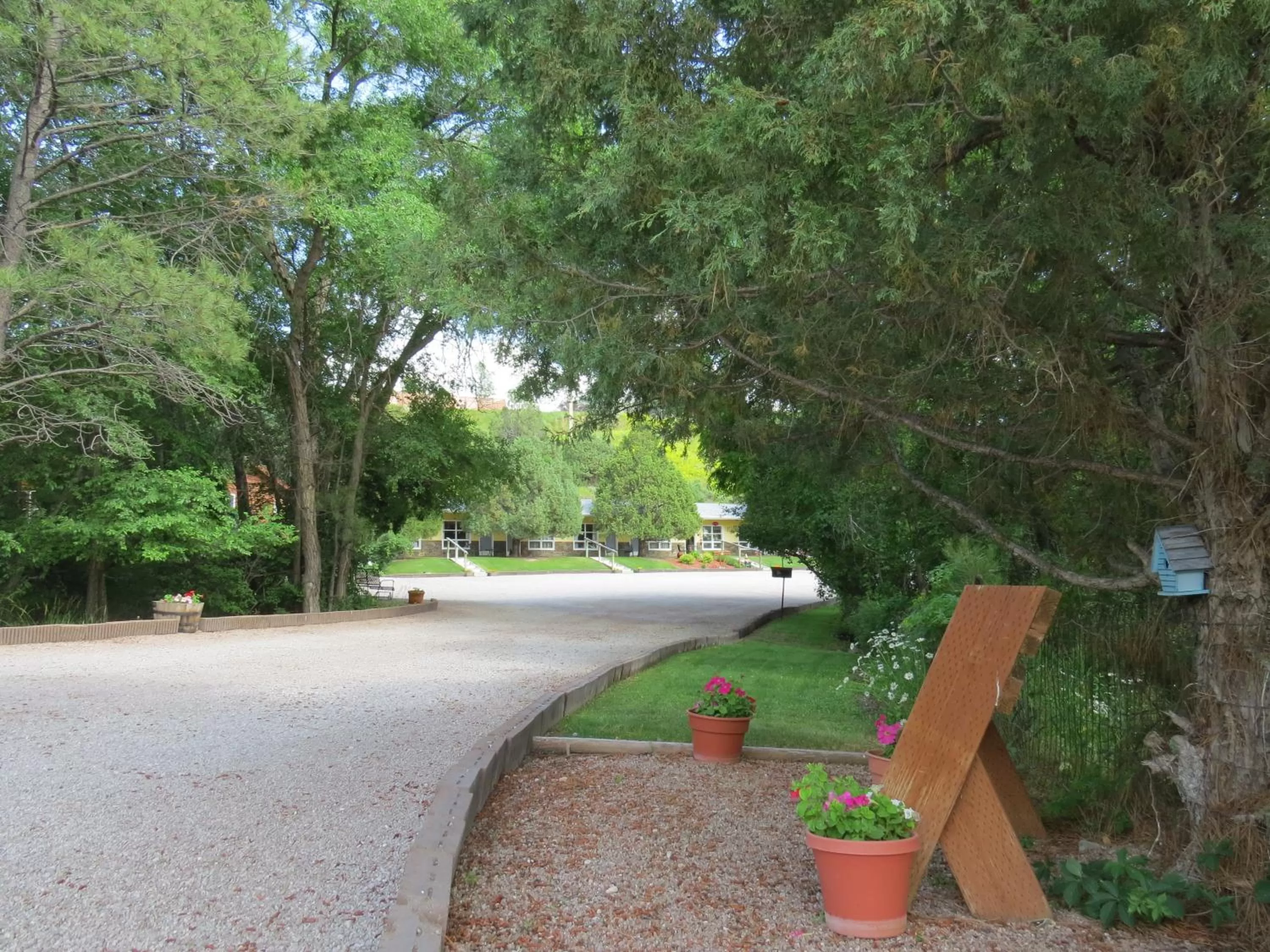 Natural landscape in The Pines Country Inn