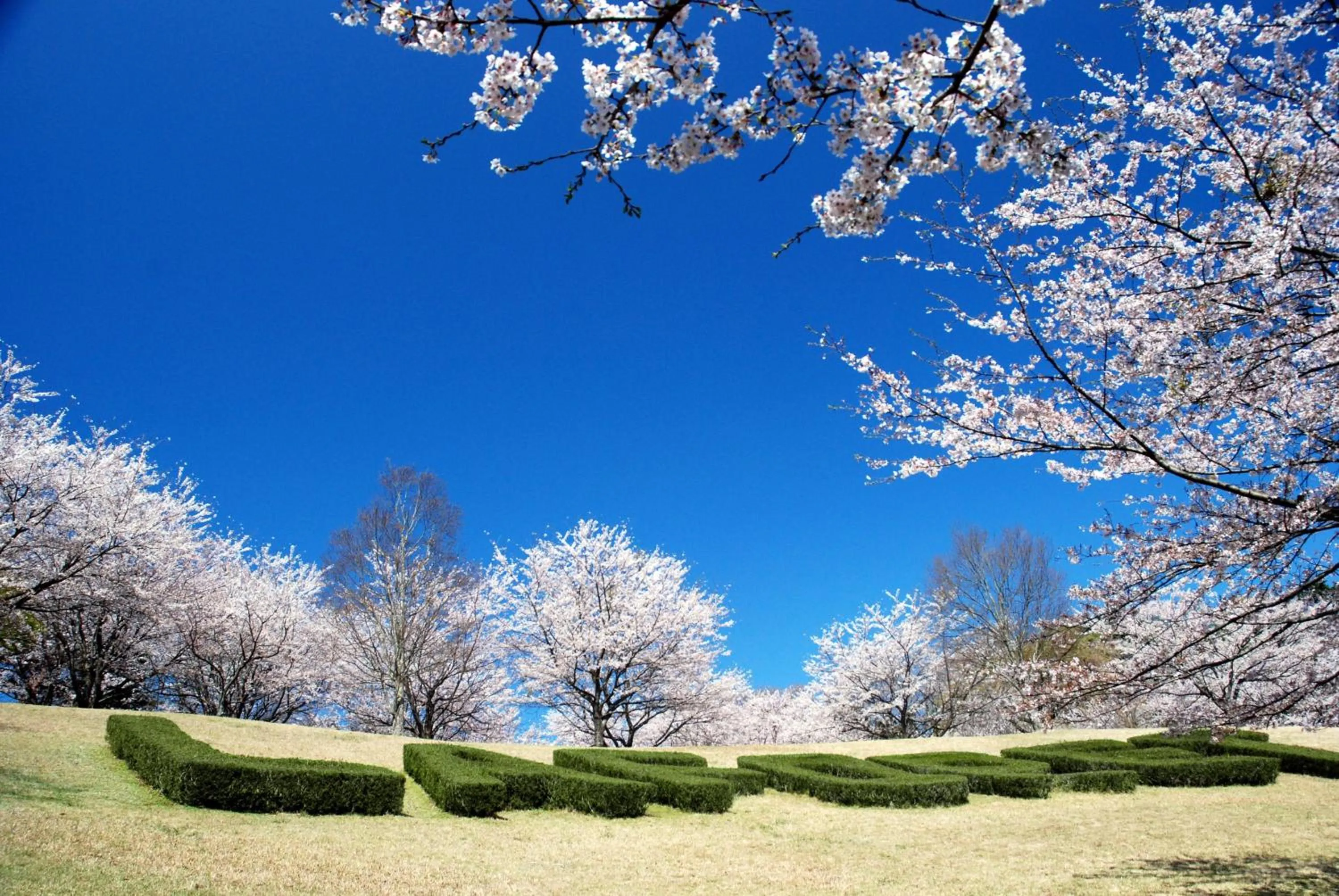 Facade/entrance in Hotel Laforet Shuzenji