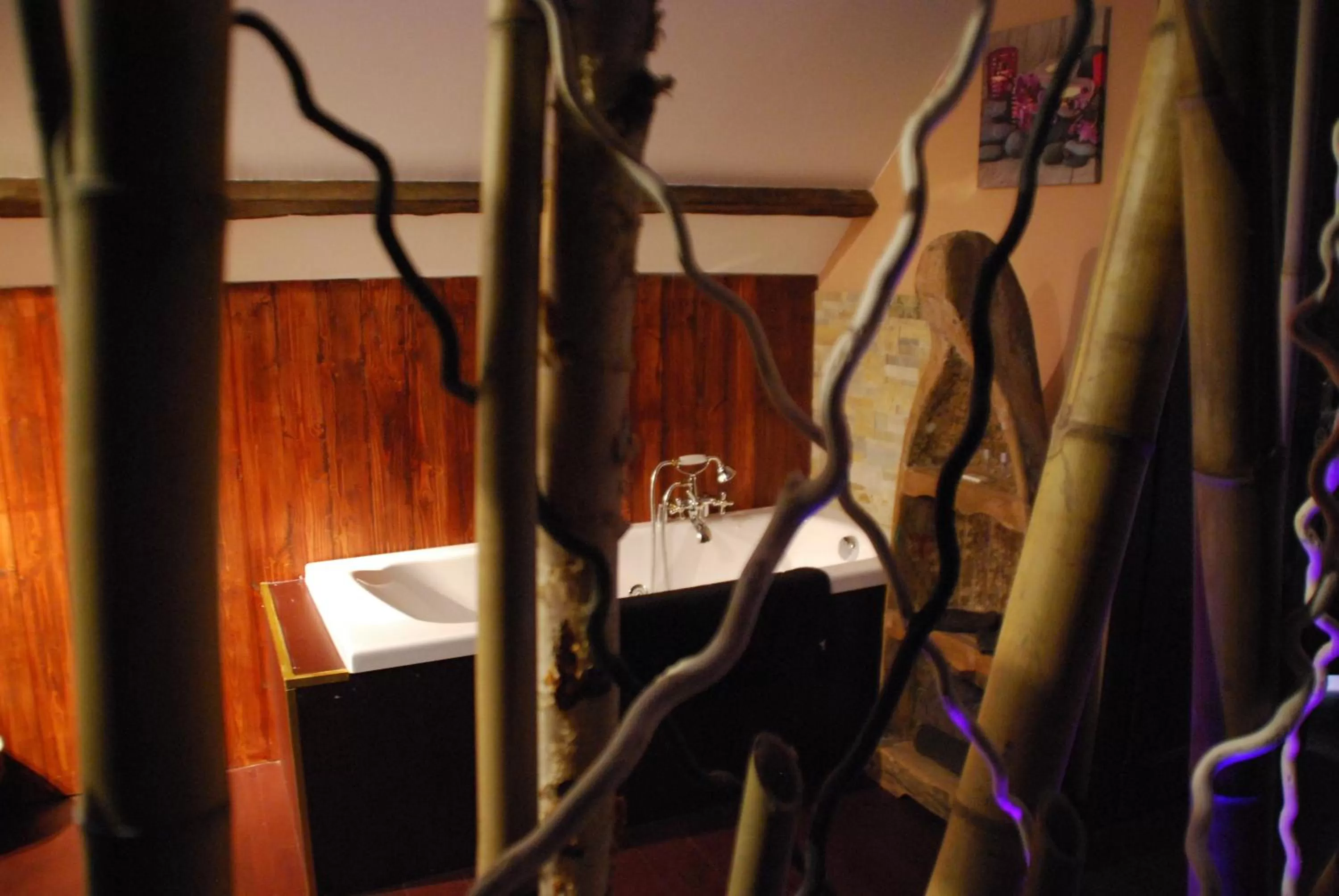 Bathroom in chambres d hotes ,hotel ,Secret d'une Nuit a vicq prės de onnaing,avec piscine