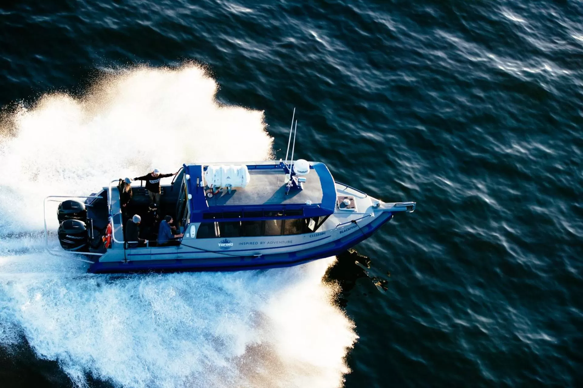 Activities in Tofino Resort + Marina