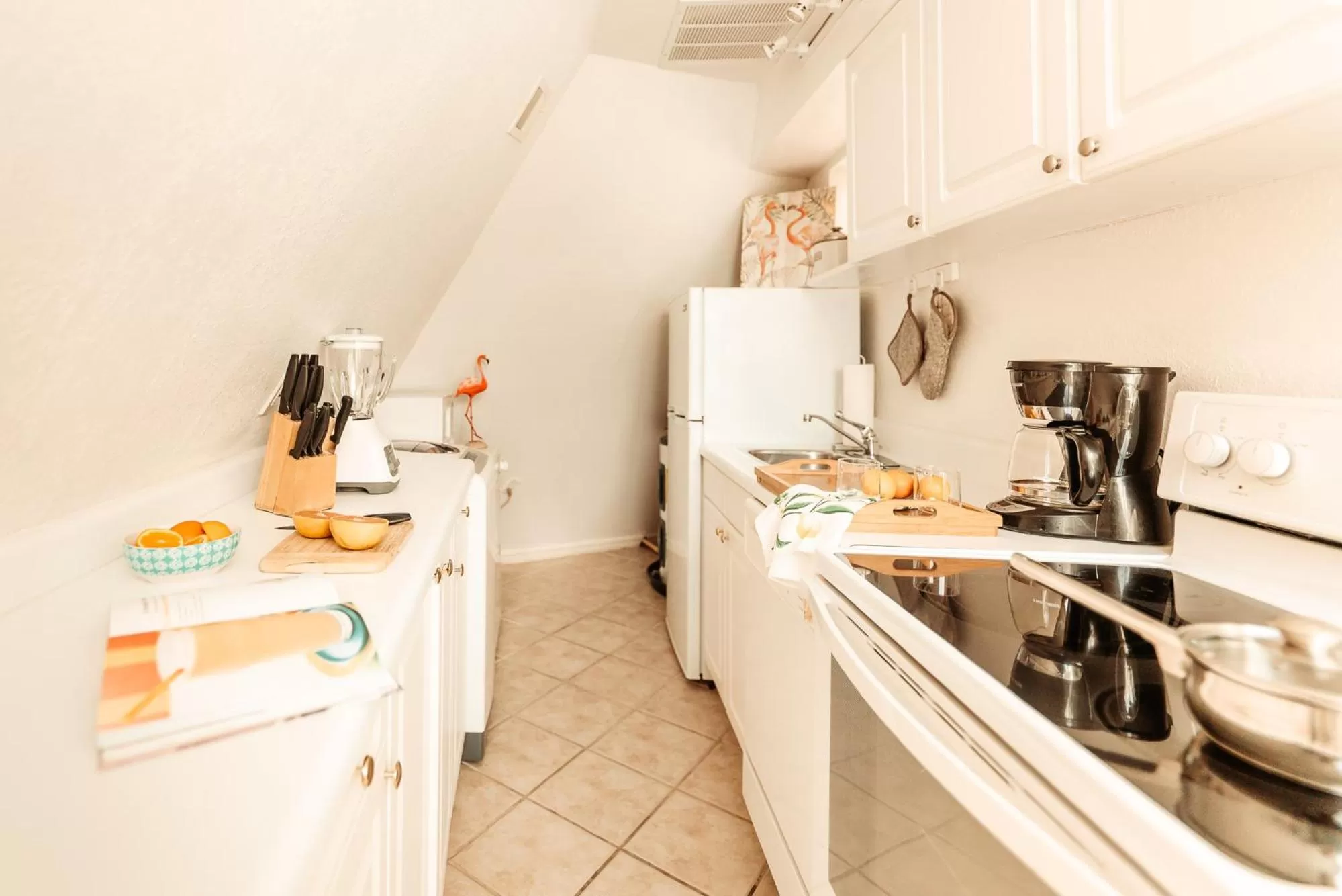 Kitchen or kitchenette in Pyramids in Florida
