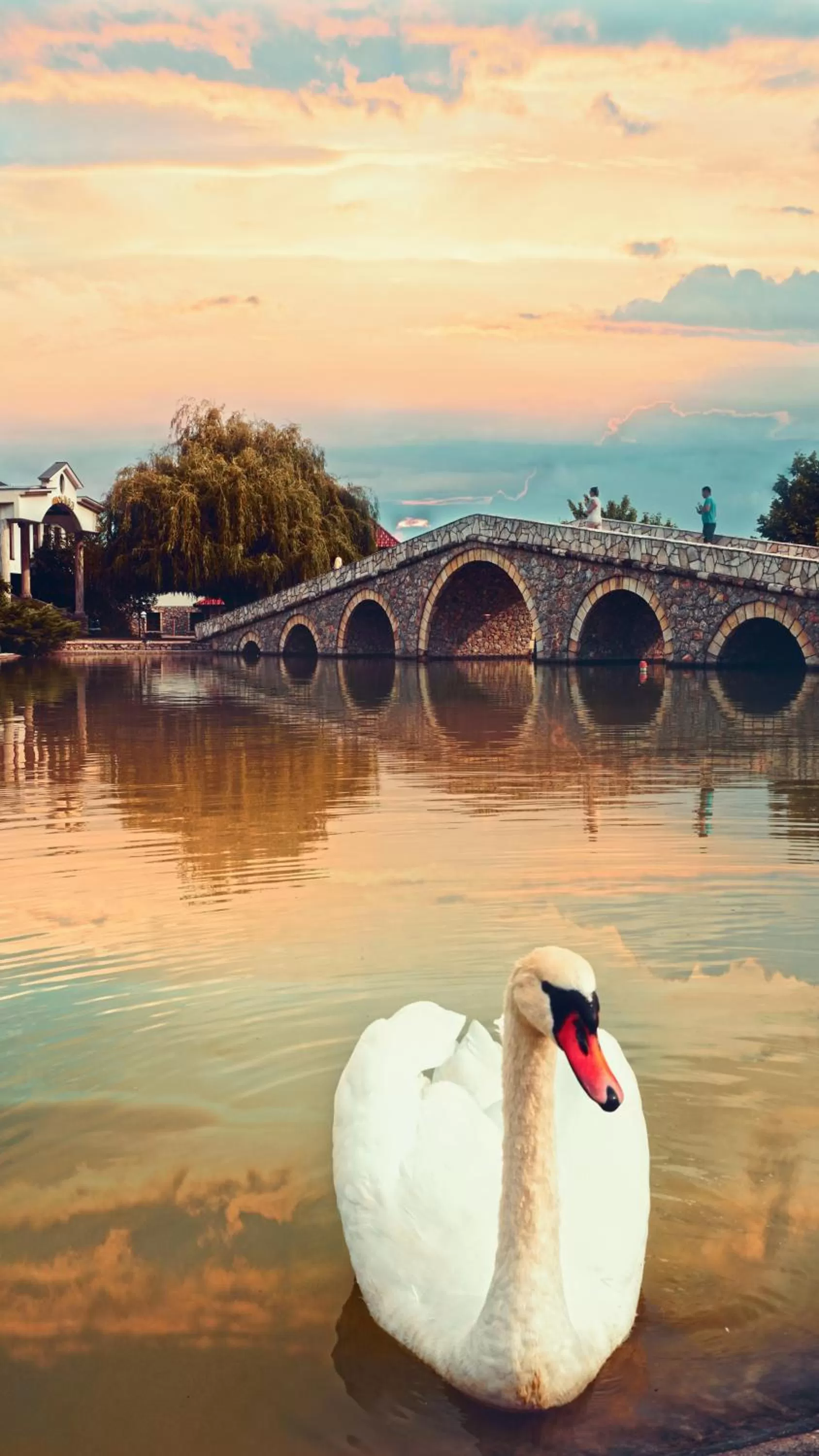 Garden in Ethno Village Stanisici