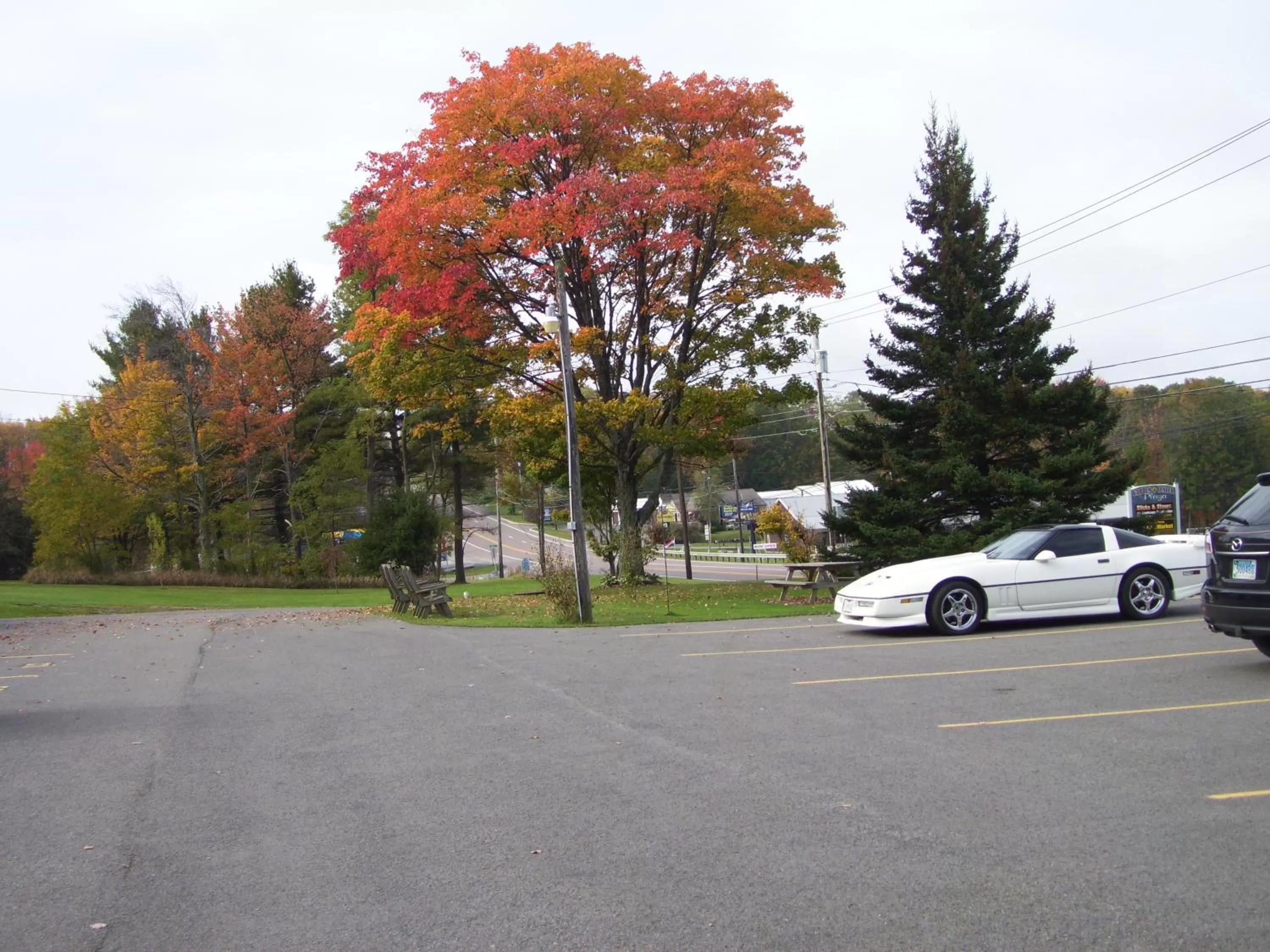 Area and facilities in The Garrett Inn