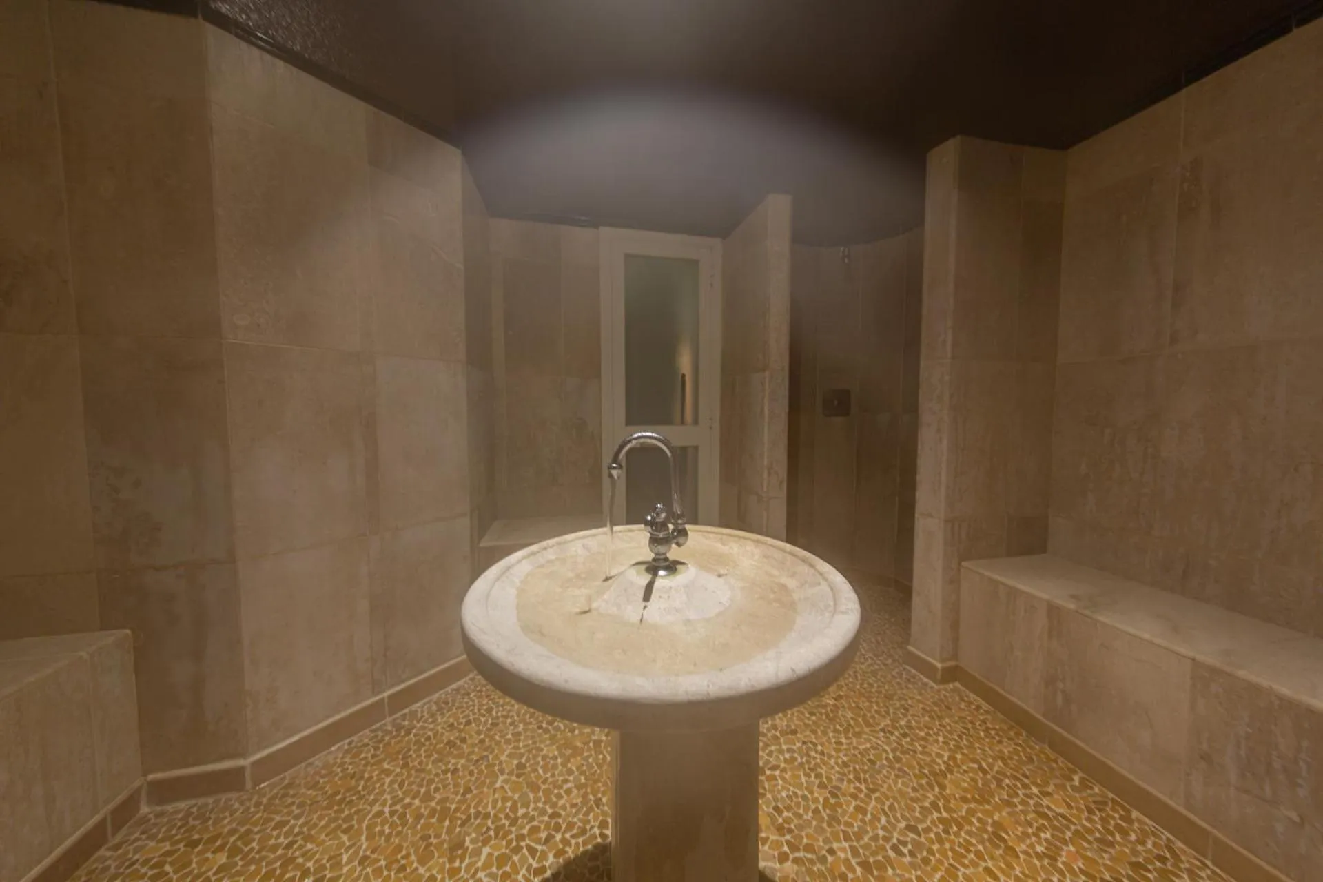 Area and facilities in Hôtel Le Roi Théodore & Spa