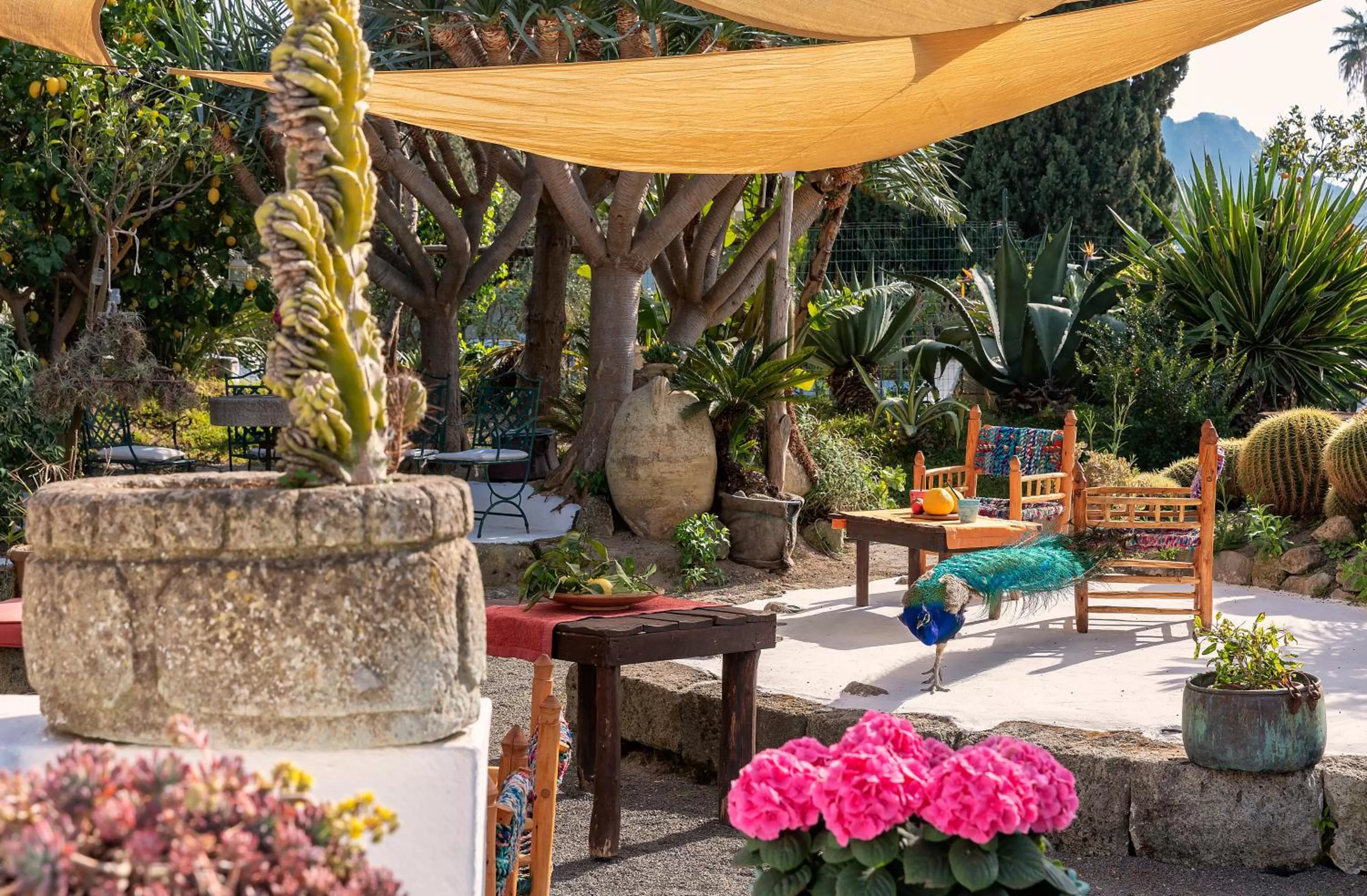 Restaurant/places to eat in Villa Ravino Aparthotel