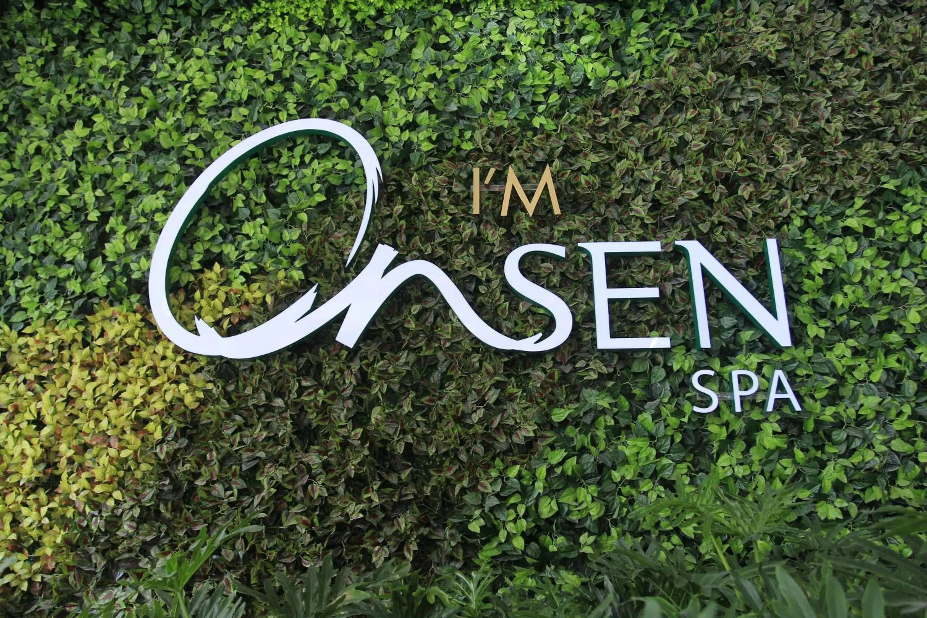 Hot Spring Bath in I'M Hotel