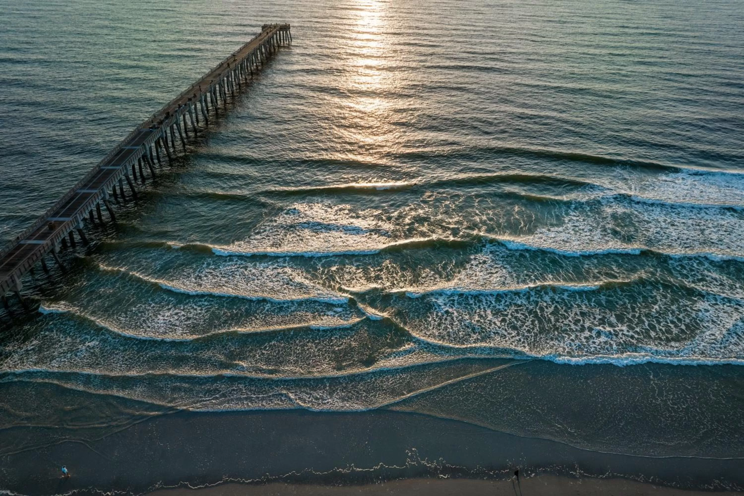 Beach in SpringHill Suites by Marriott Jacksonville Beach Oceanfront