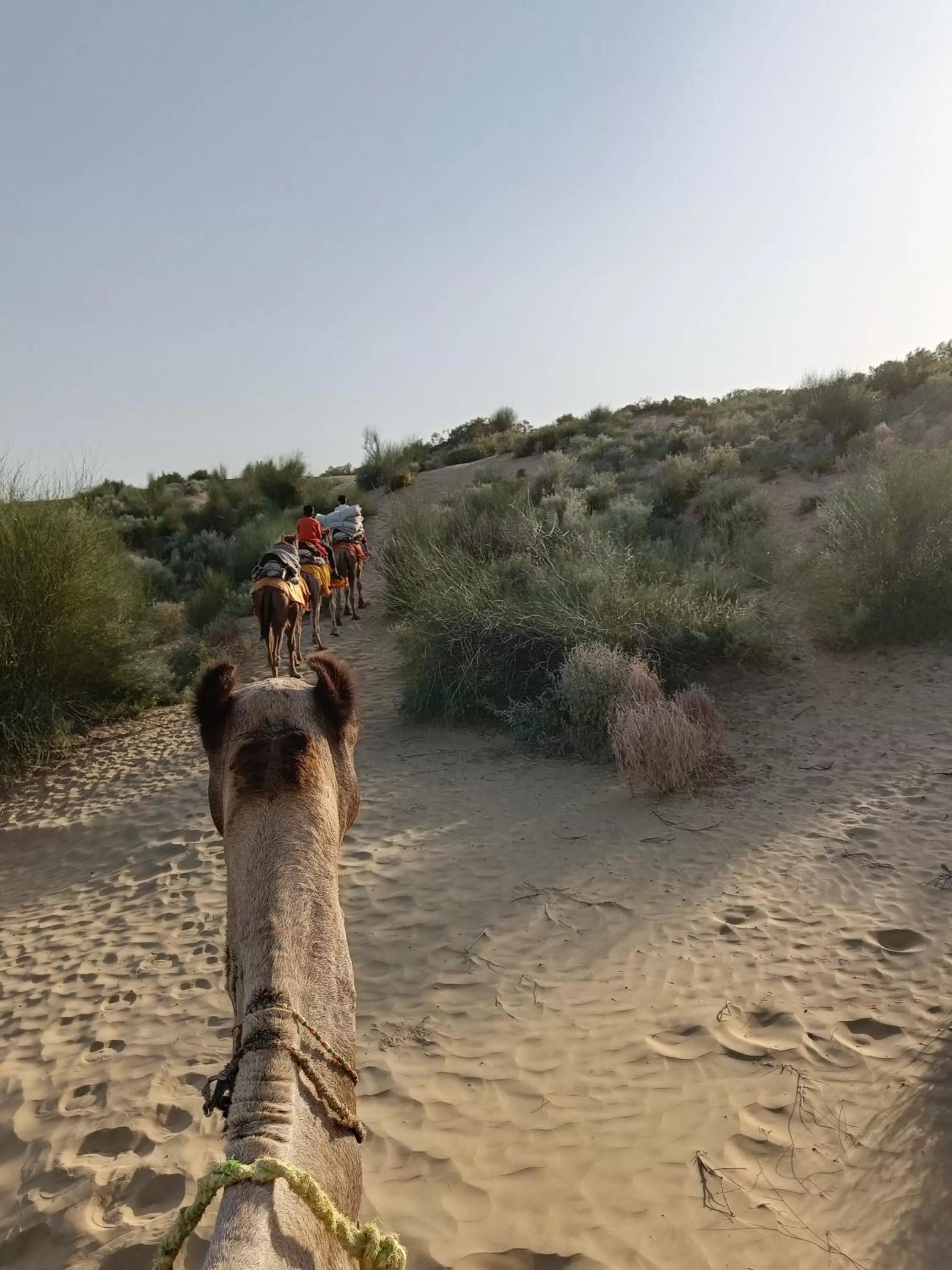 Activities in The Secret House - Adults Only Jaisalmer India