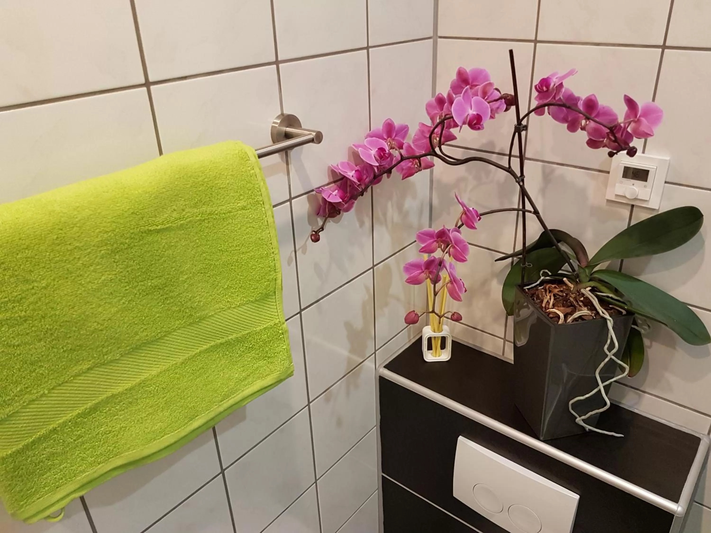 Bathroom in Hotel Exquisite