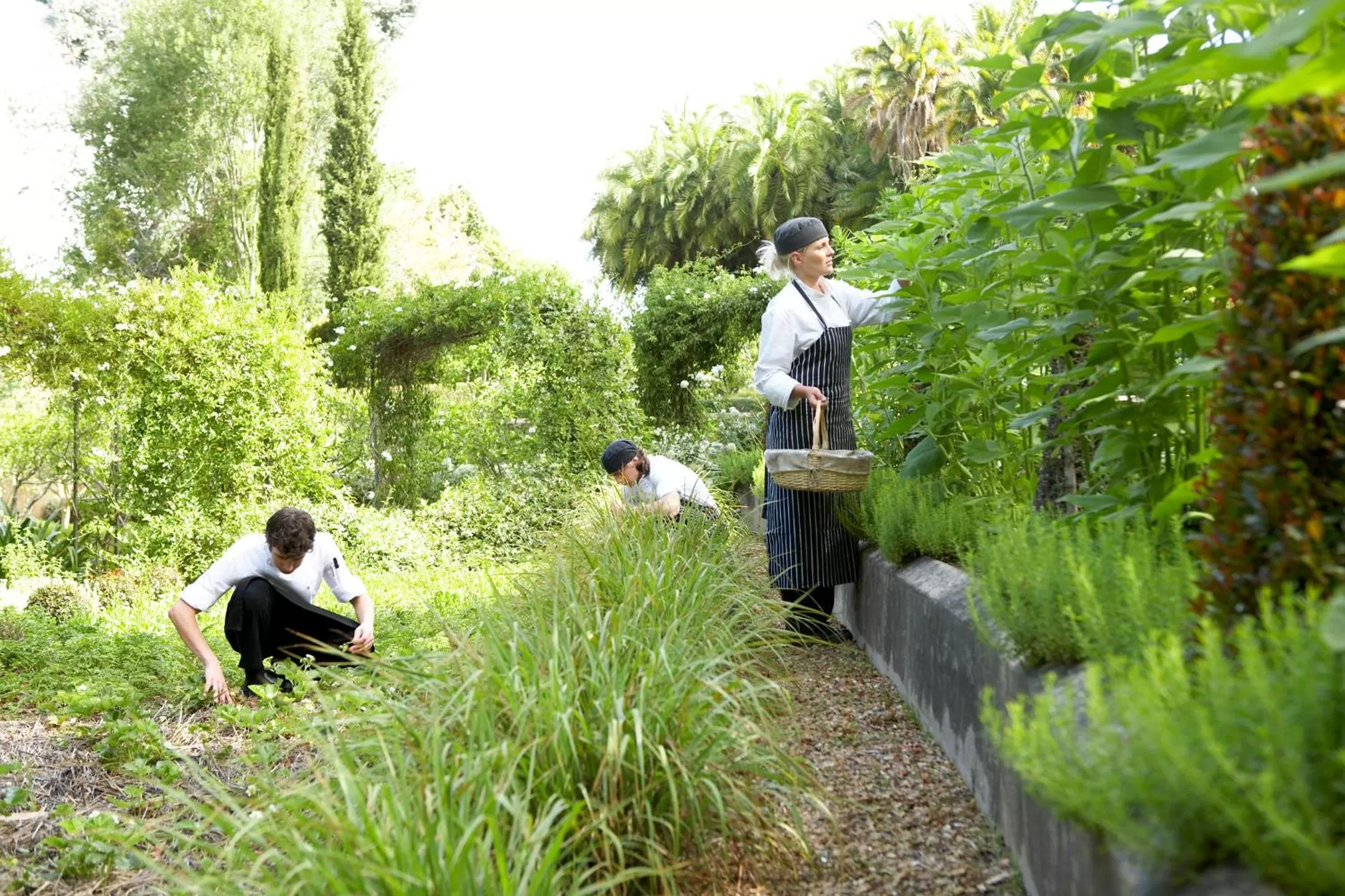 Staff in The Cellars-Hohenort