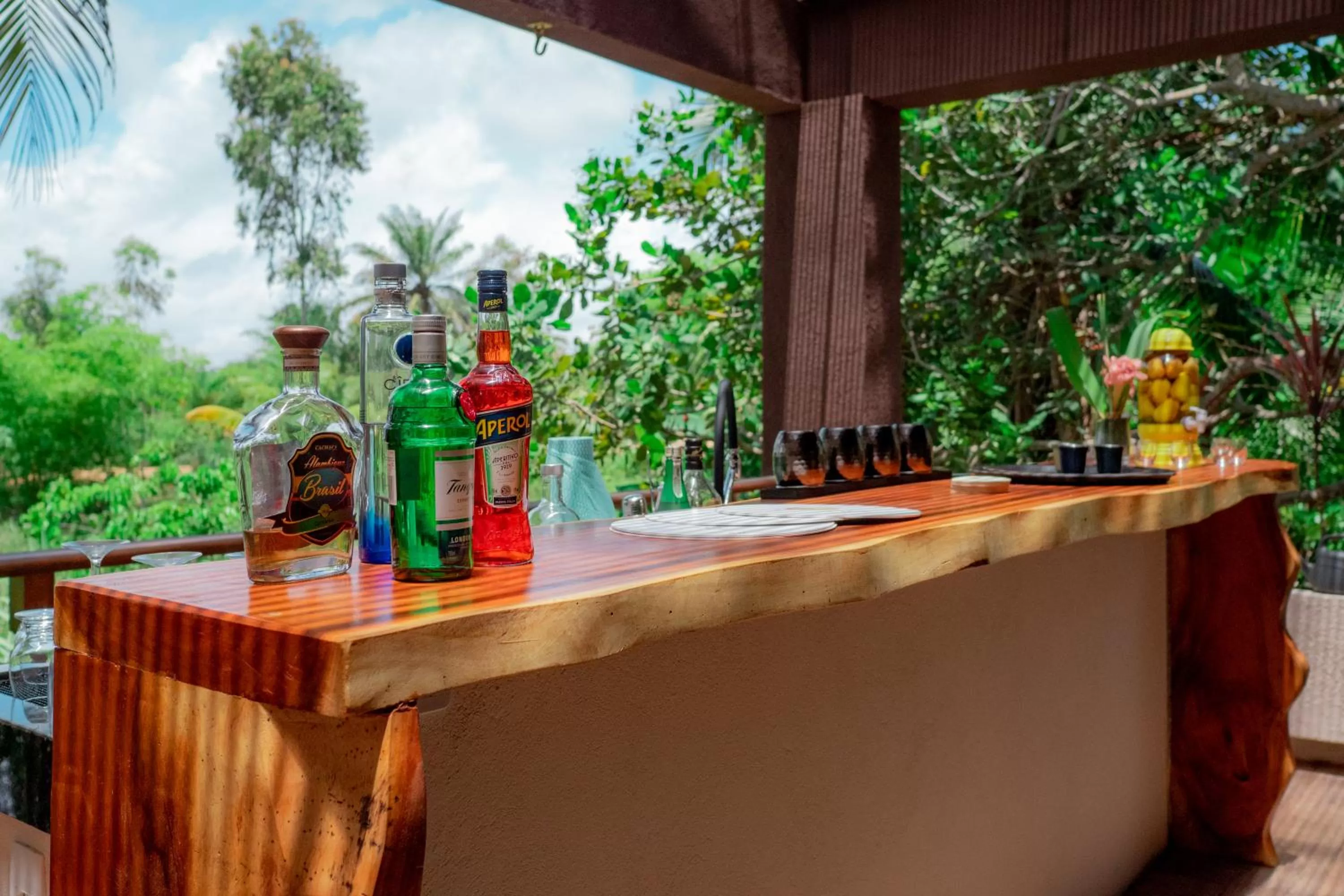 Lounge or bar in Pousada Sitio da Bia