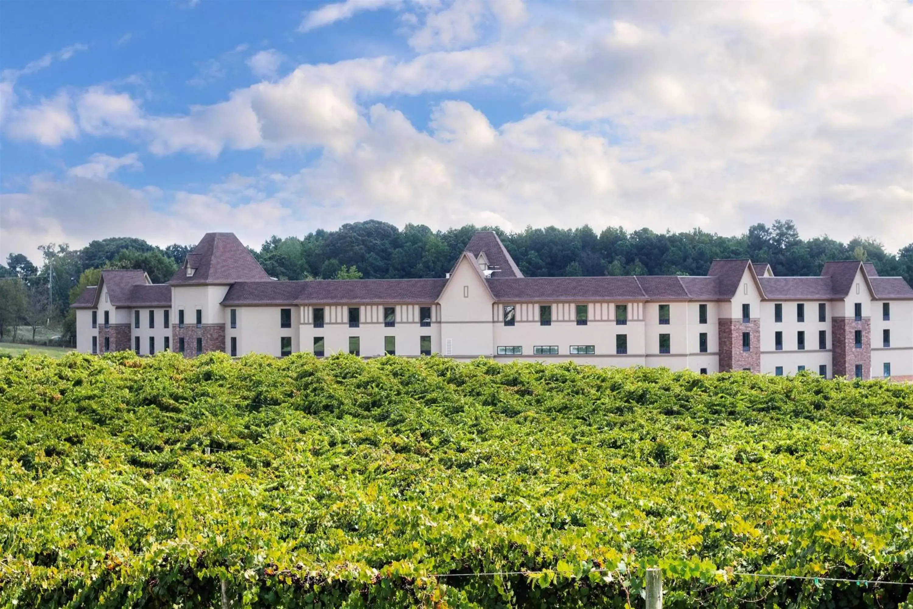 King Studio Suite with View - Non-Smoking in Hampton Inn & Suites Braselton King Studio Suite with View - Non-Smoking in Hampton Inn & Suites Braselton