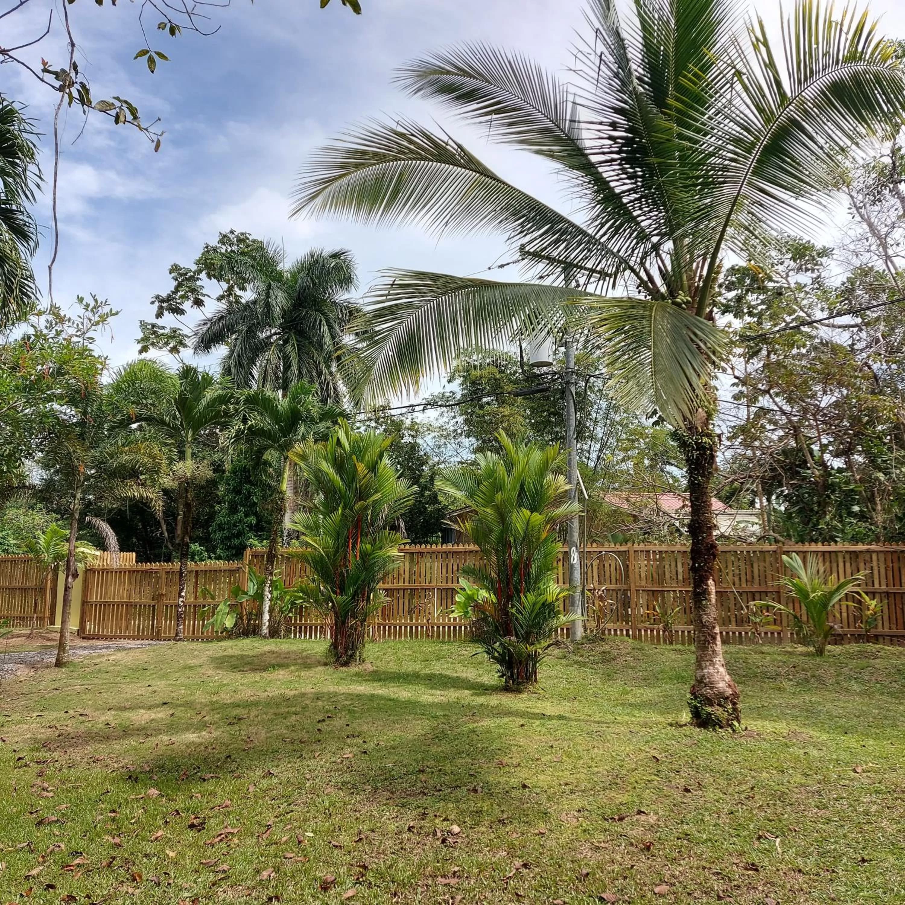 Garden in Casa Oceana Bed & Breakfast