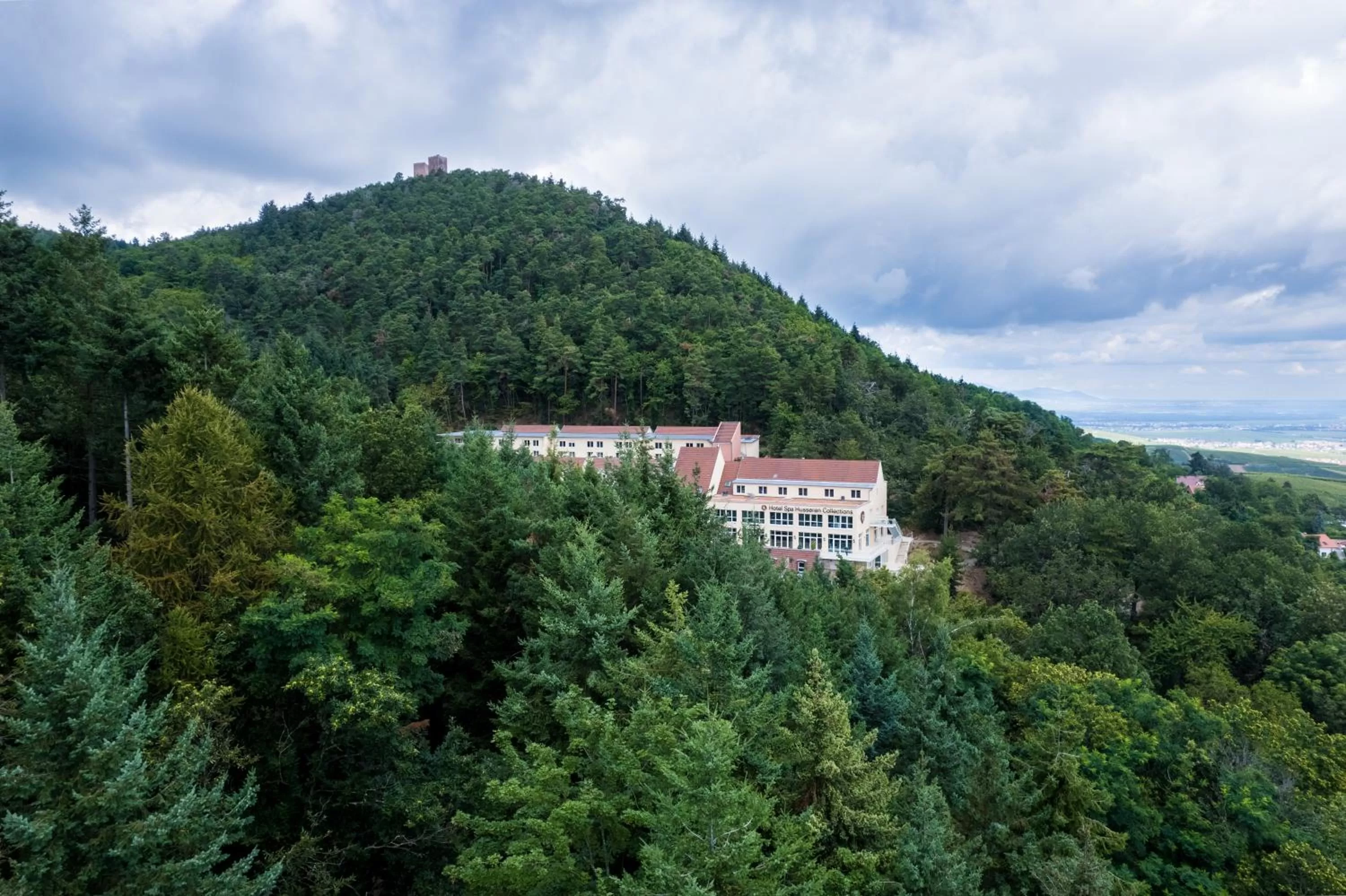 Neighbourhood in Hotel SPA Husseren Collections - Proche Colmar - Eguisheim