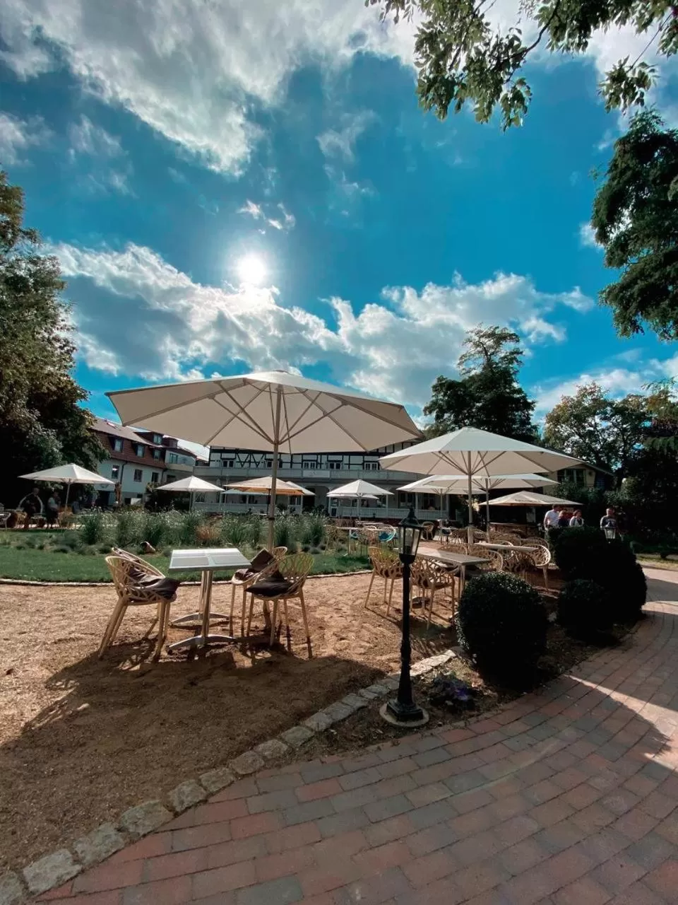 Garden in Villa Seebach