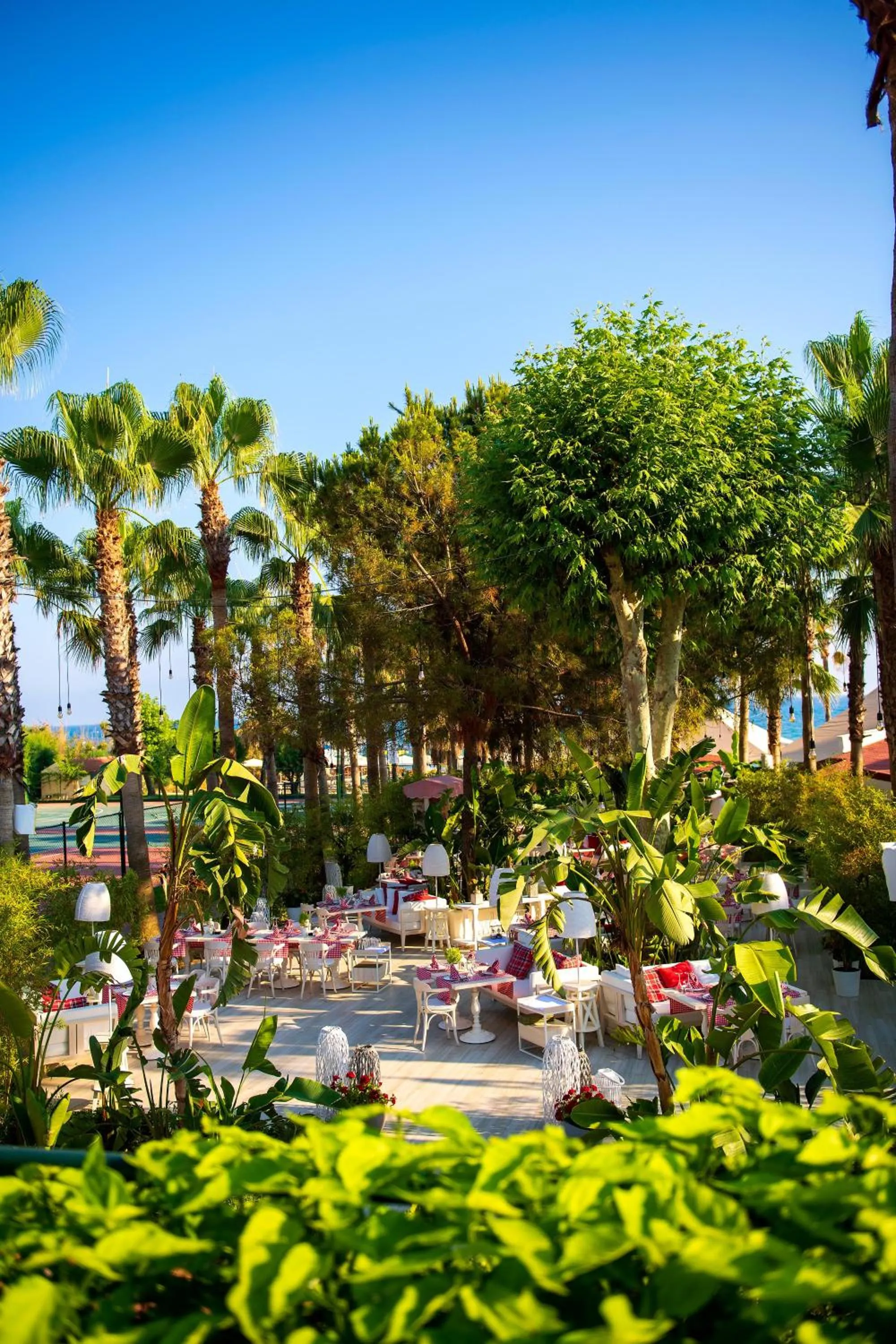 Garden in Miramare Beach Hotel - Ultra All Inclusive
