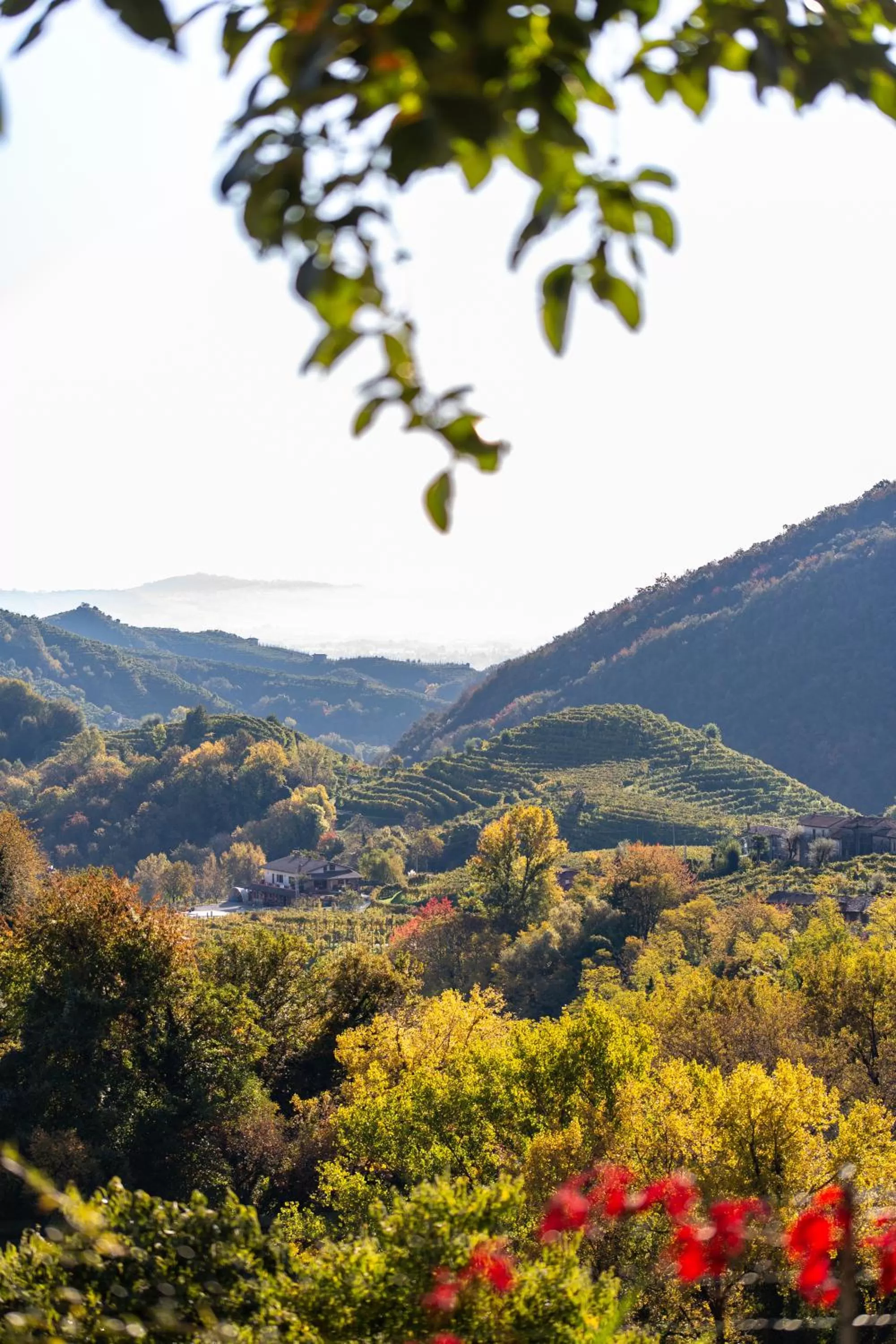 Garden in B&B CASA OLTRAVAL