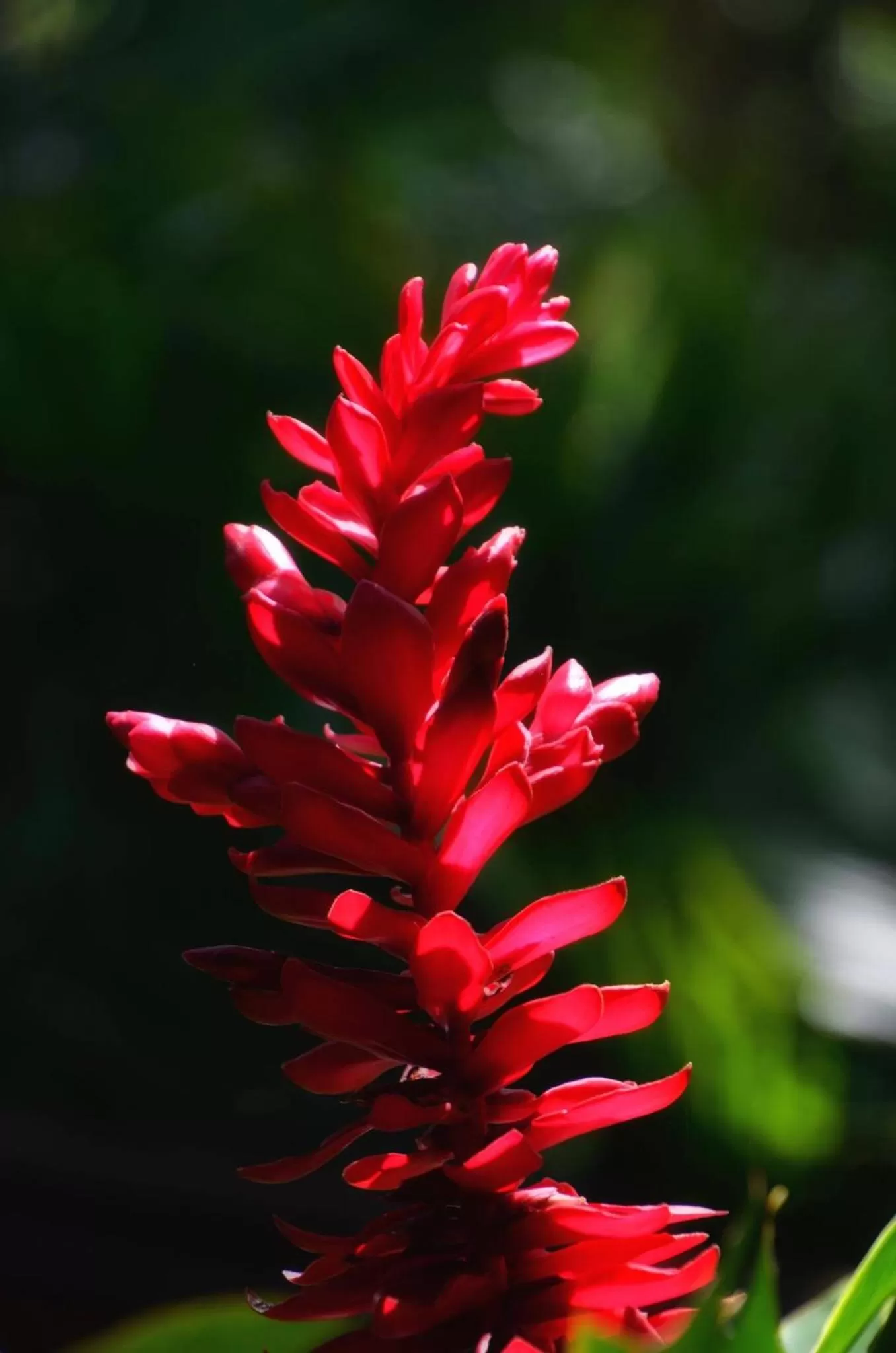 Pousada Canto Bella Terra