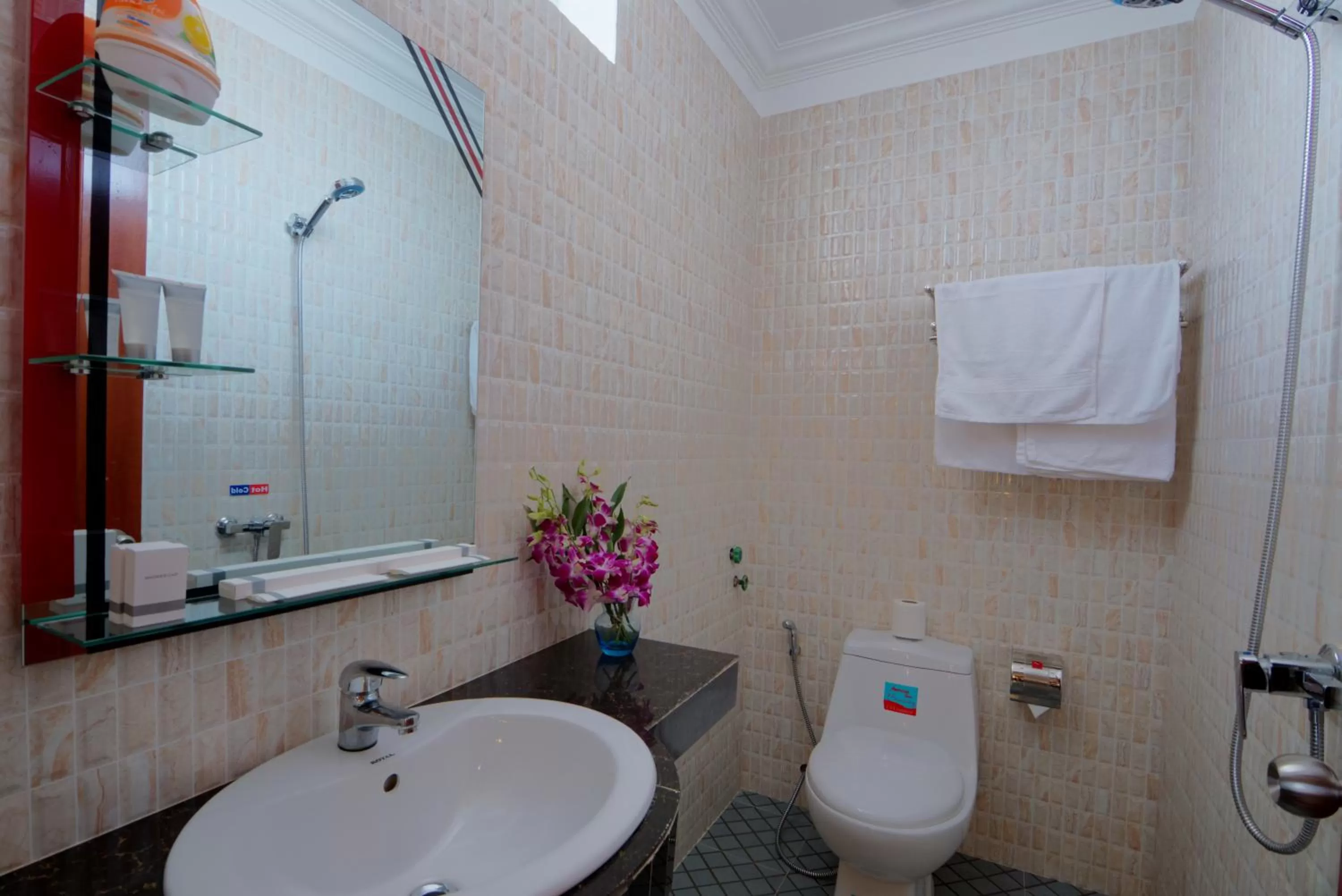 Toilet in Bou Phanith Villa