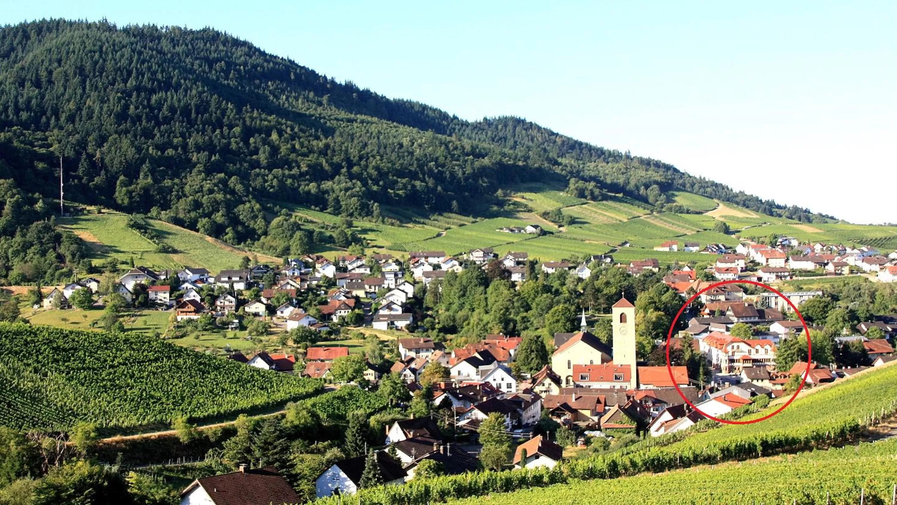 Day in Hotel Rebstock