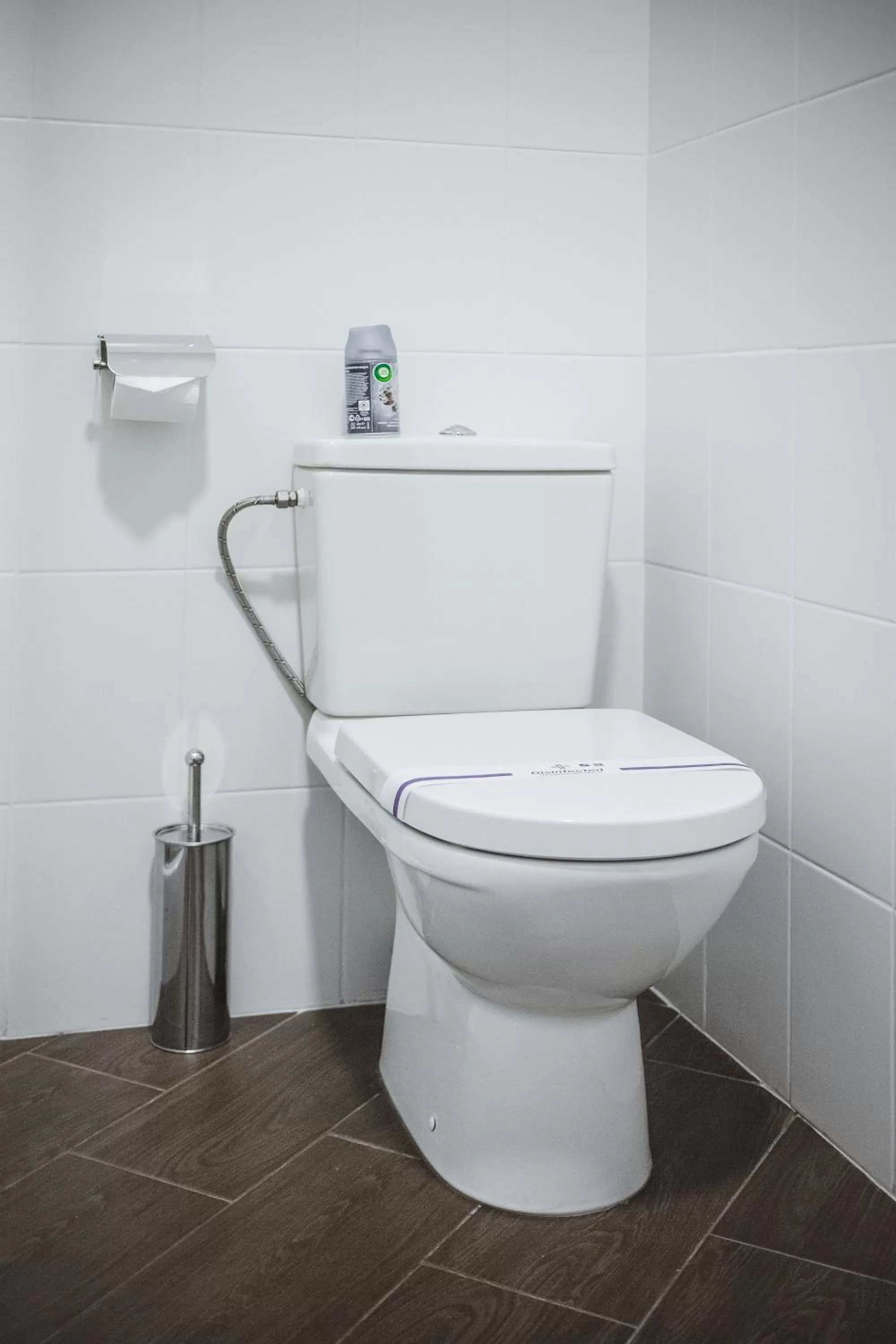 Toilet in Sicheslav Ekaterinoslav