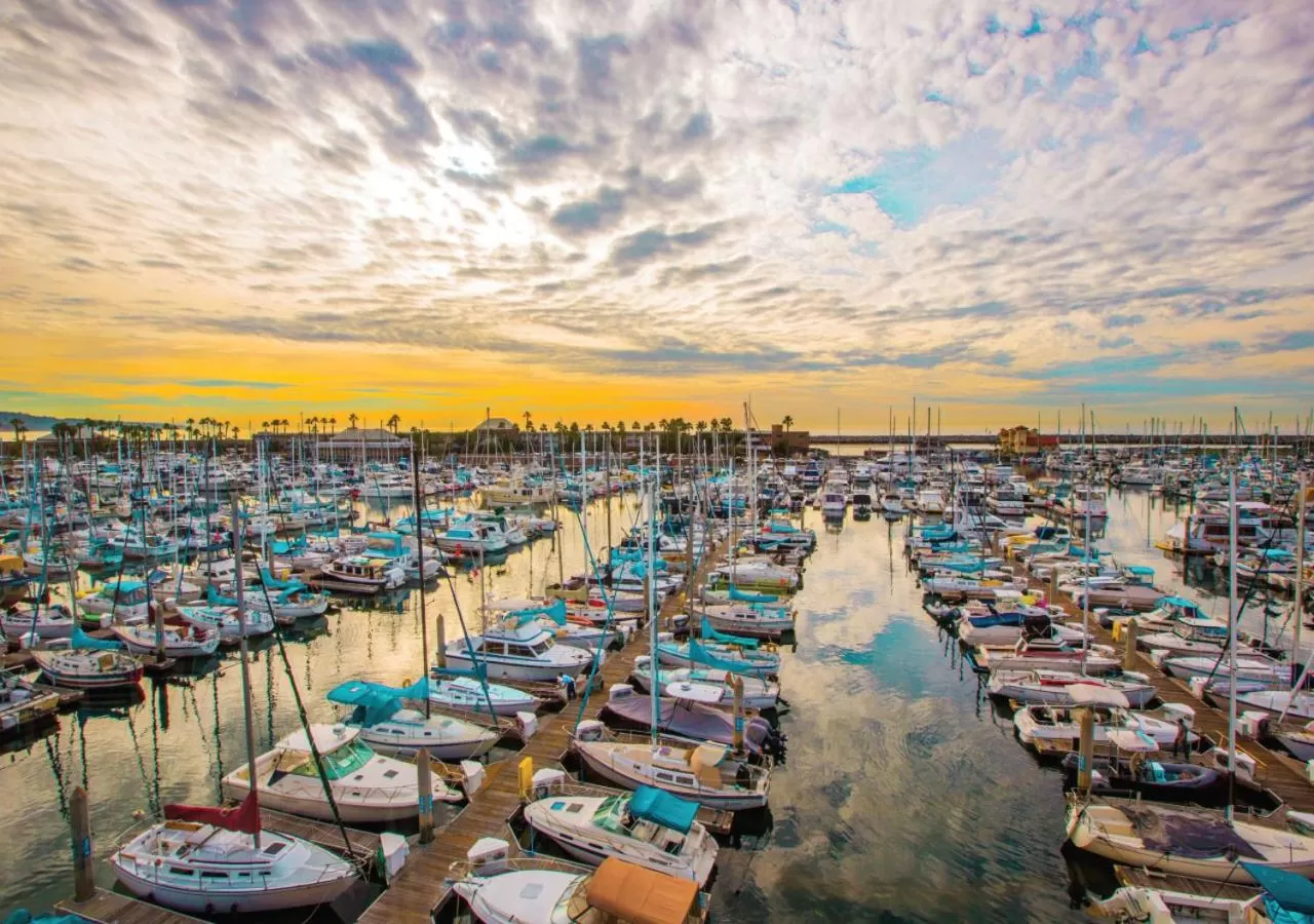 View (from property/room) in Shade Hotel Redondo Beach