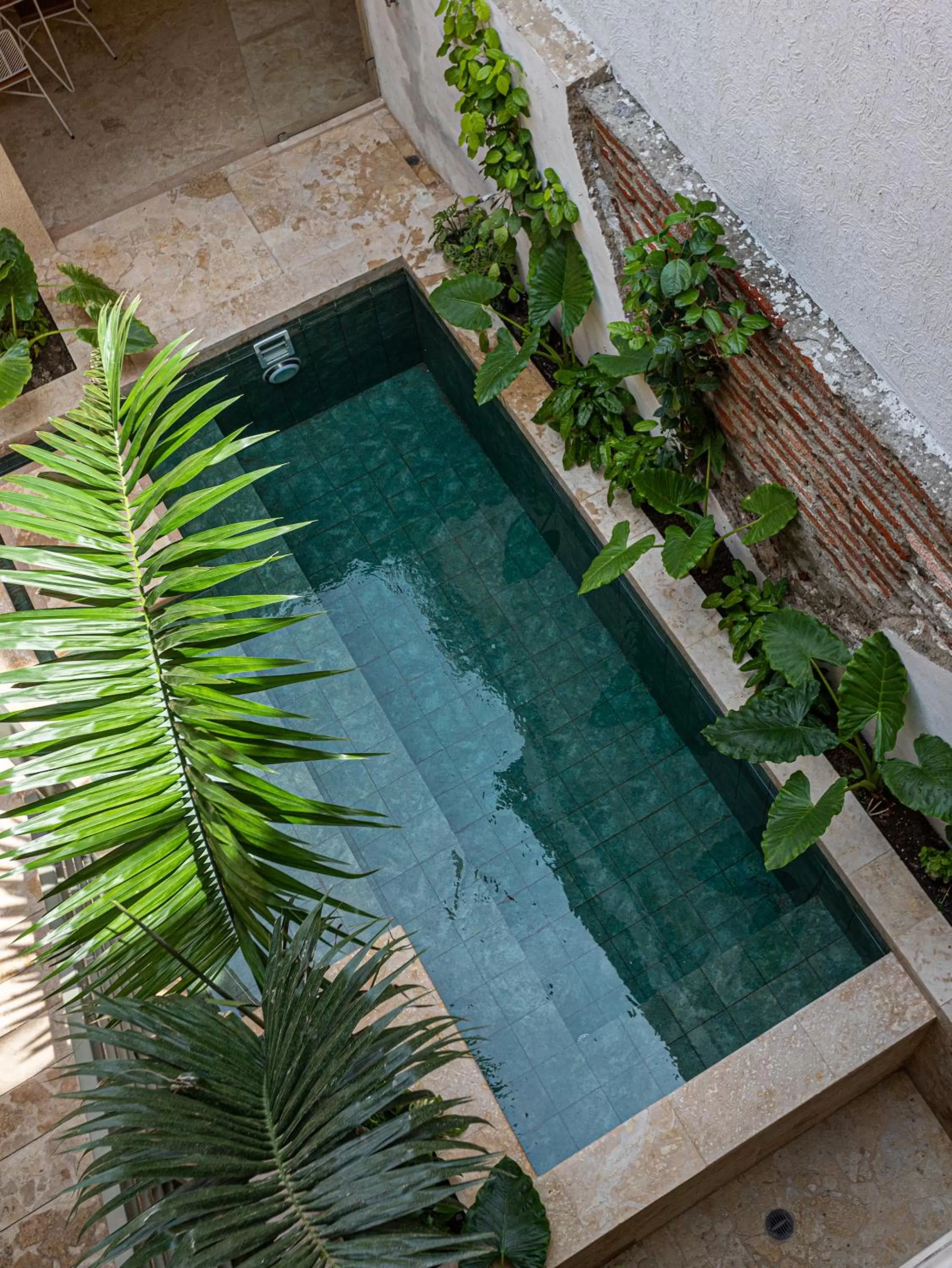 Pool view in Soy Local Insignia