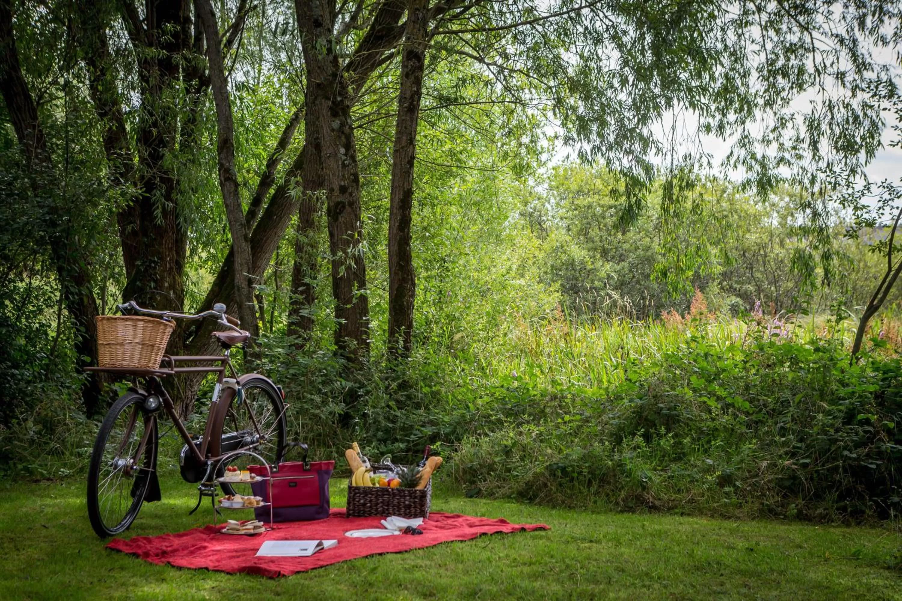 Garden in Newpark Hotel