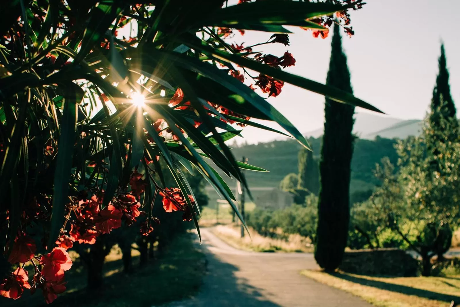 View (from property/room) in Clos Saint-Michel Resort & Spa