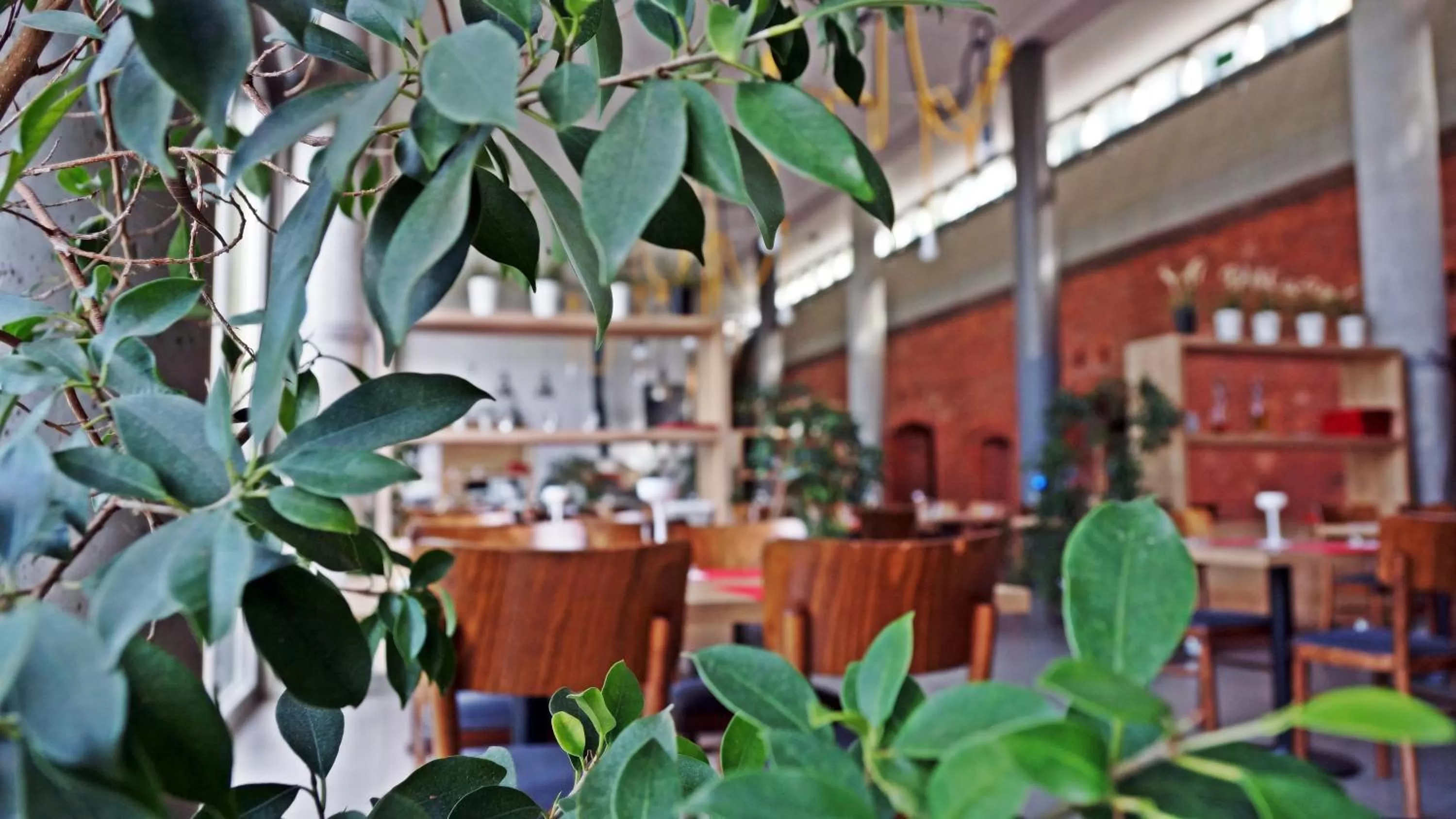 Restaurant/places to eat in Hotel Forza