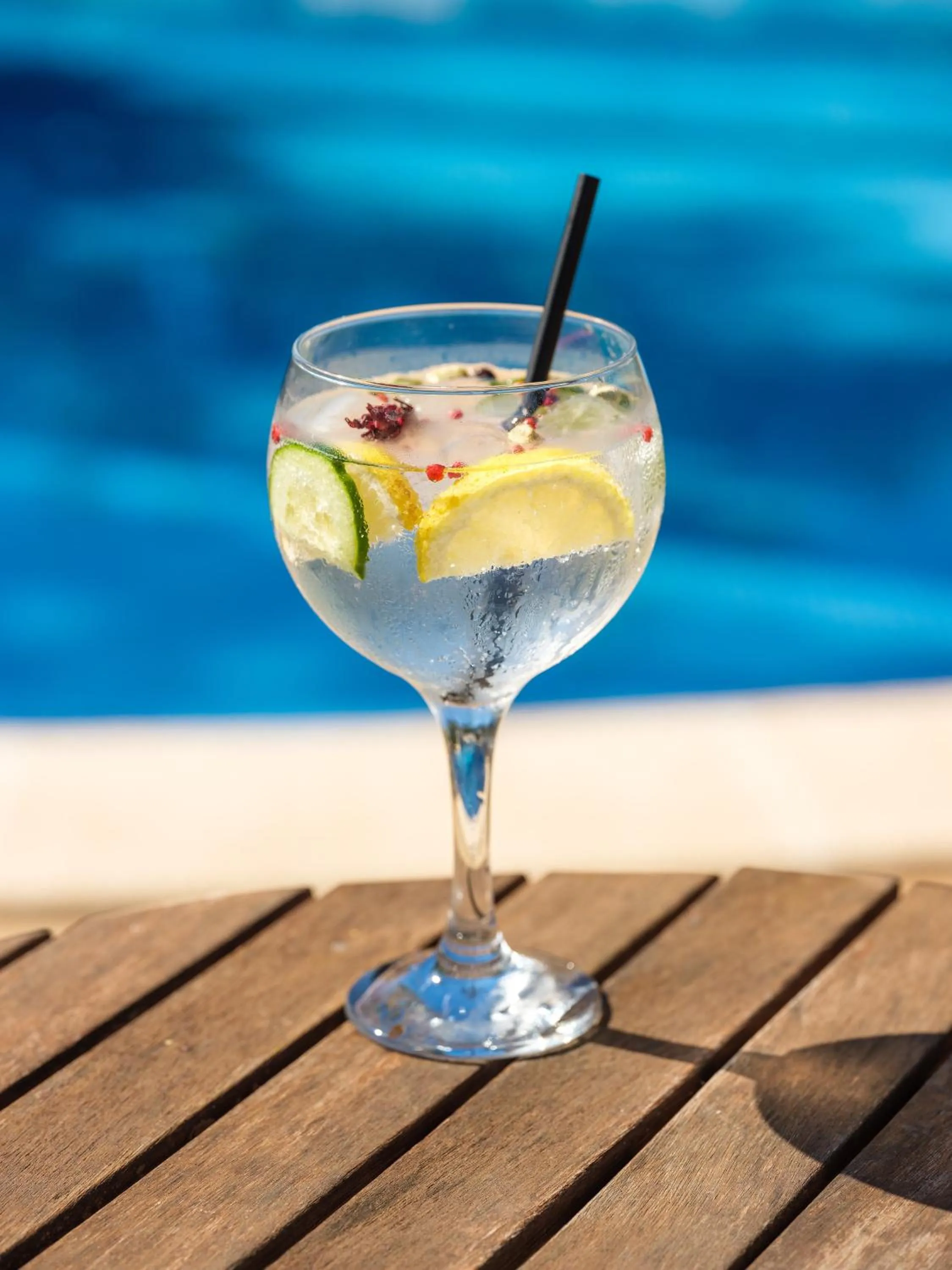 Lounge or bar in Hotel Ciutat Jardi