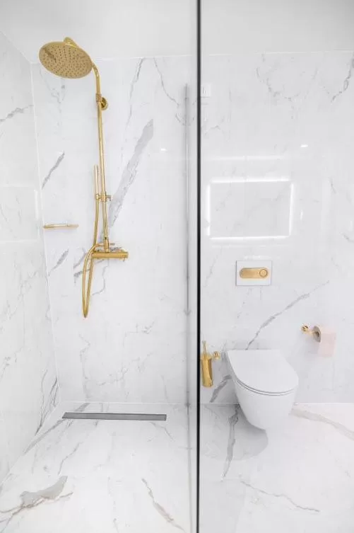 Shower in Elegans Hotel Brdo