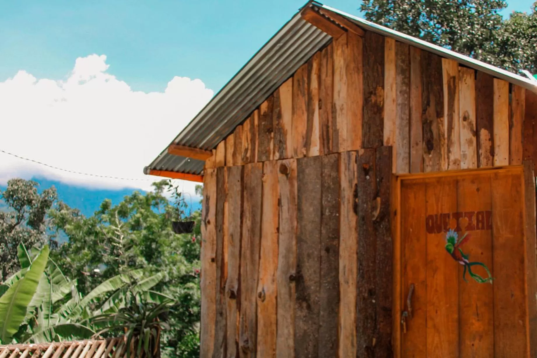 Property building in Eco-Hotel Mayachik