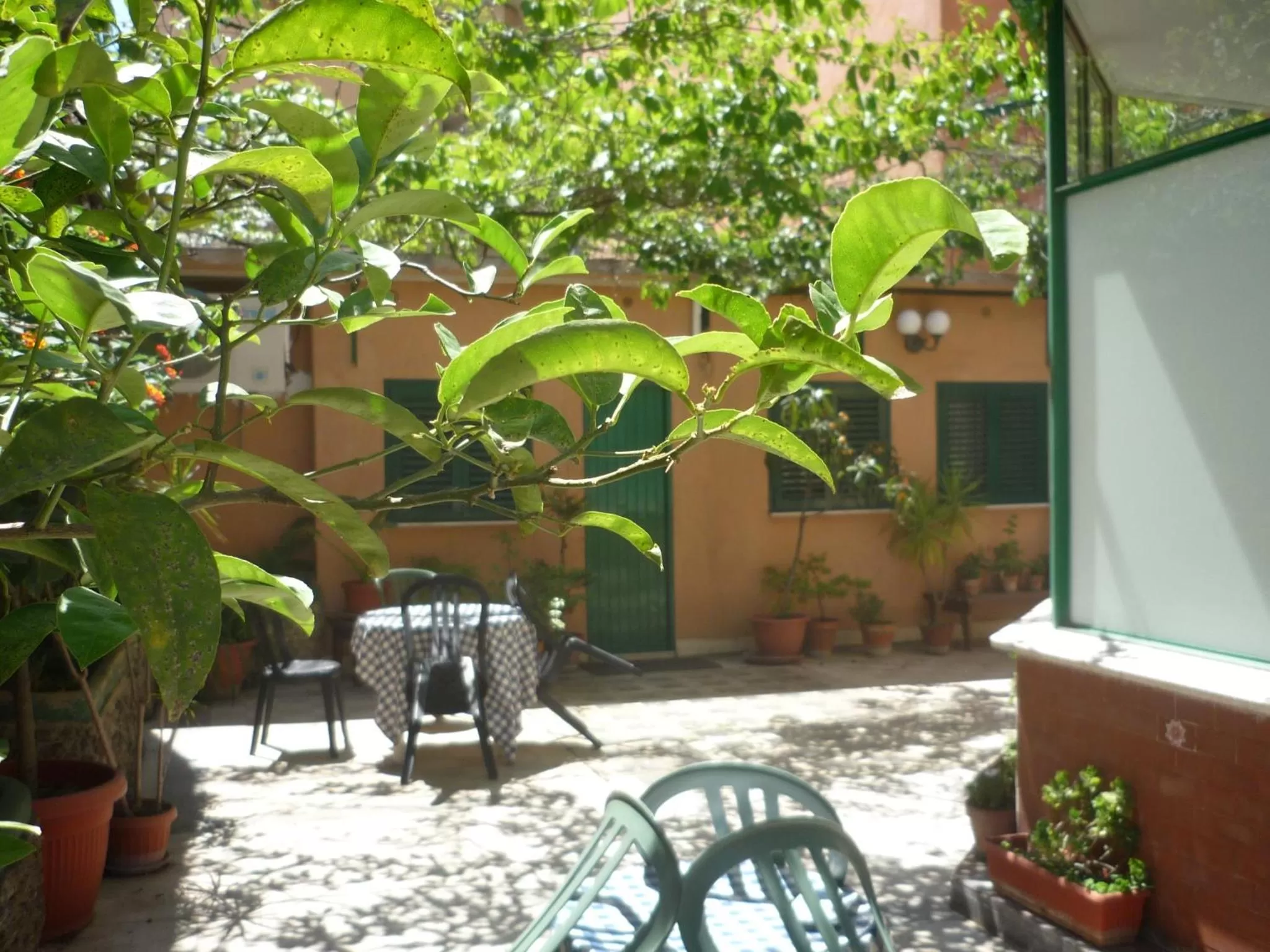 Balcony/Terrace in Hotel Carmel