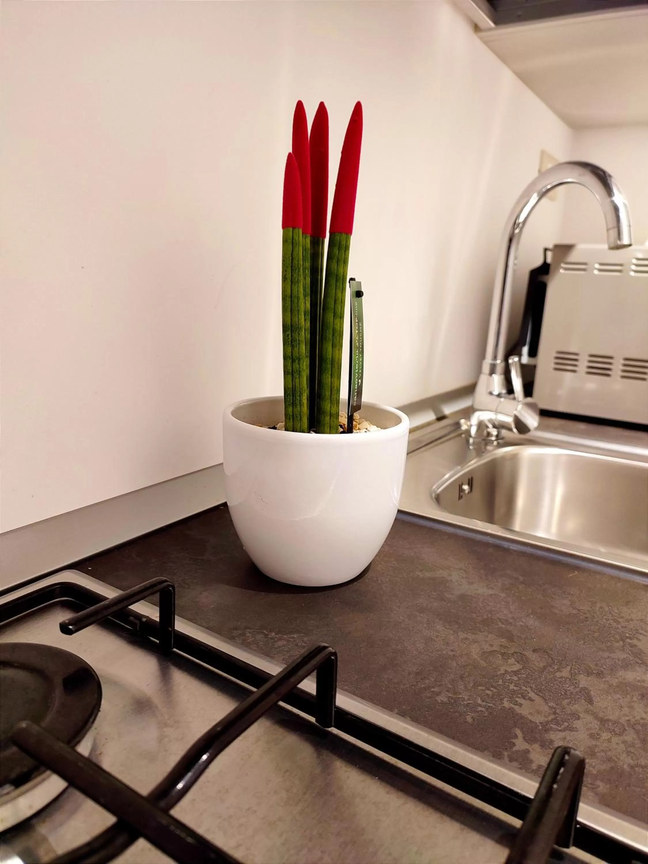 Kitchen or kitchenette in B&B San Vito