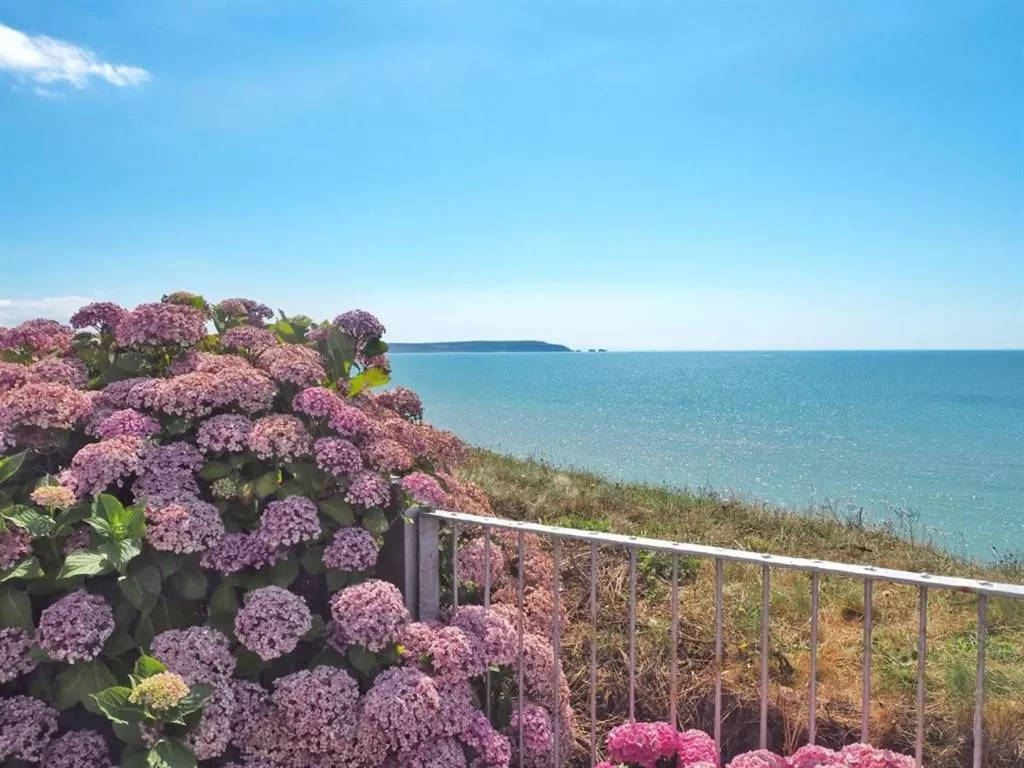 Other in Pebble Beach Seaview Restaurant & Rooms